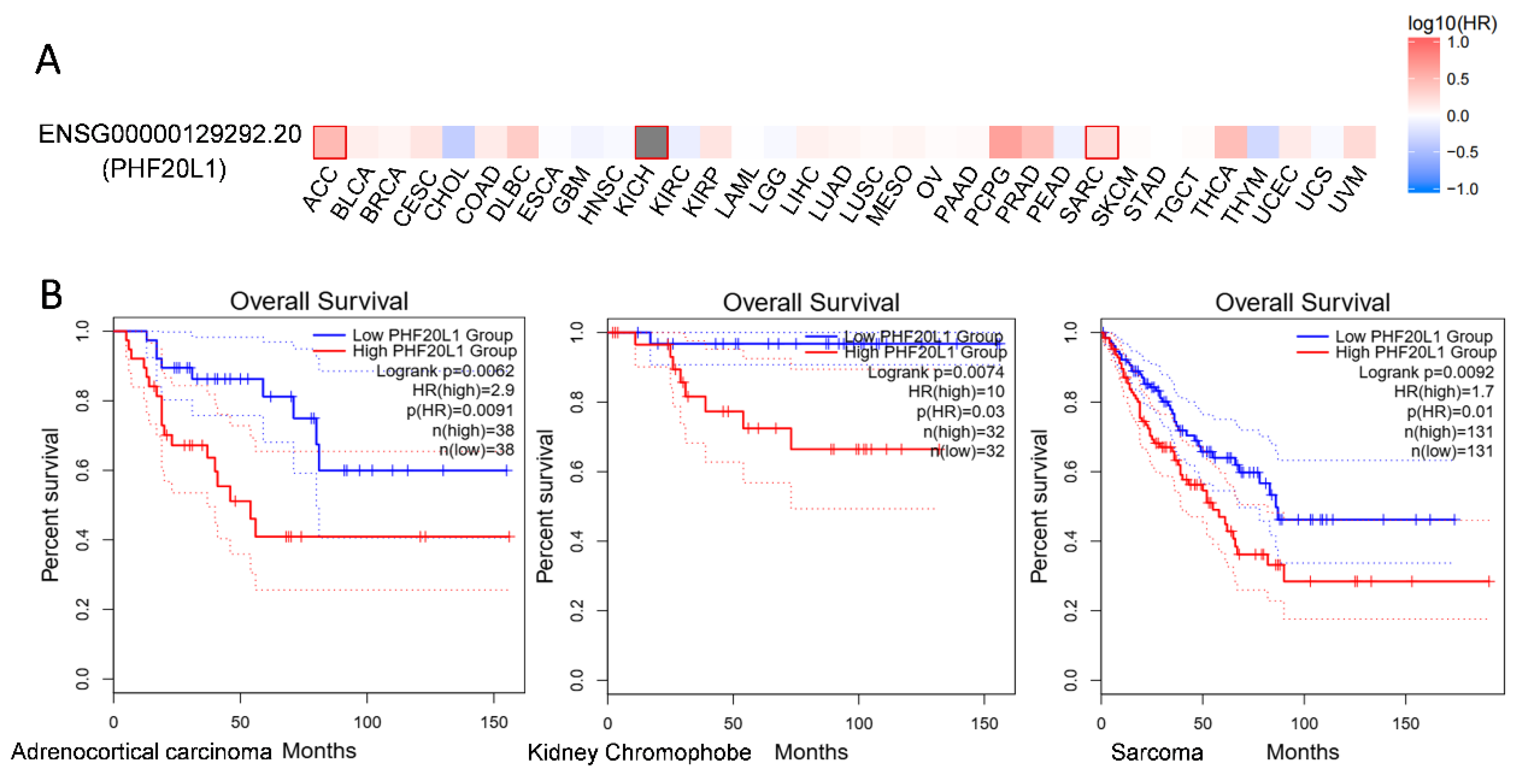 Biomolecules 15 01048 g005