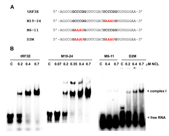 Biomolecules 15 01054 g001