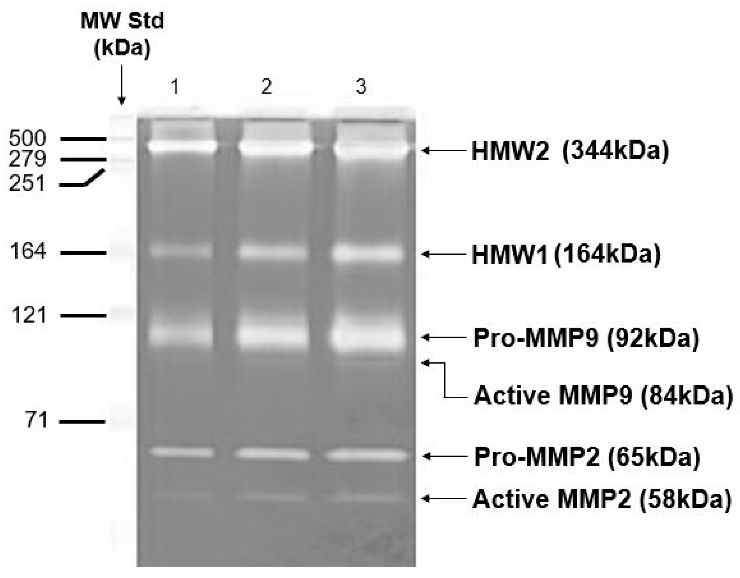 Biomolecules 15 01059 g006