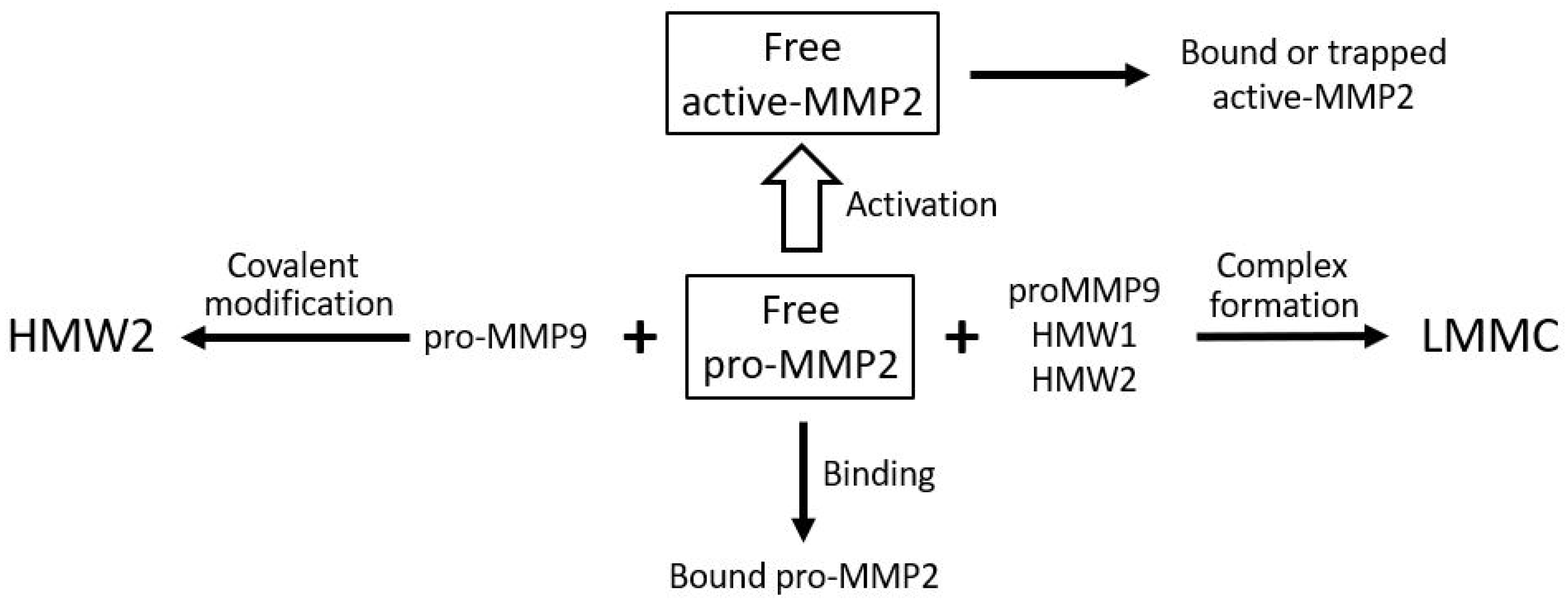 Biomolecules 15 01059 g009