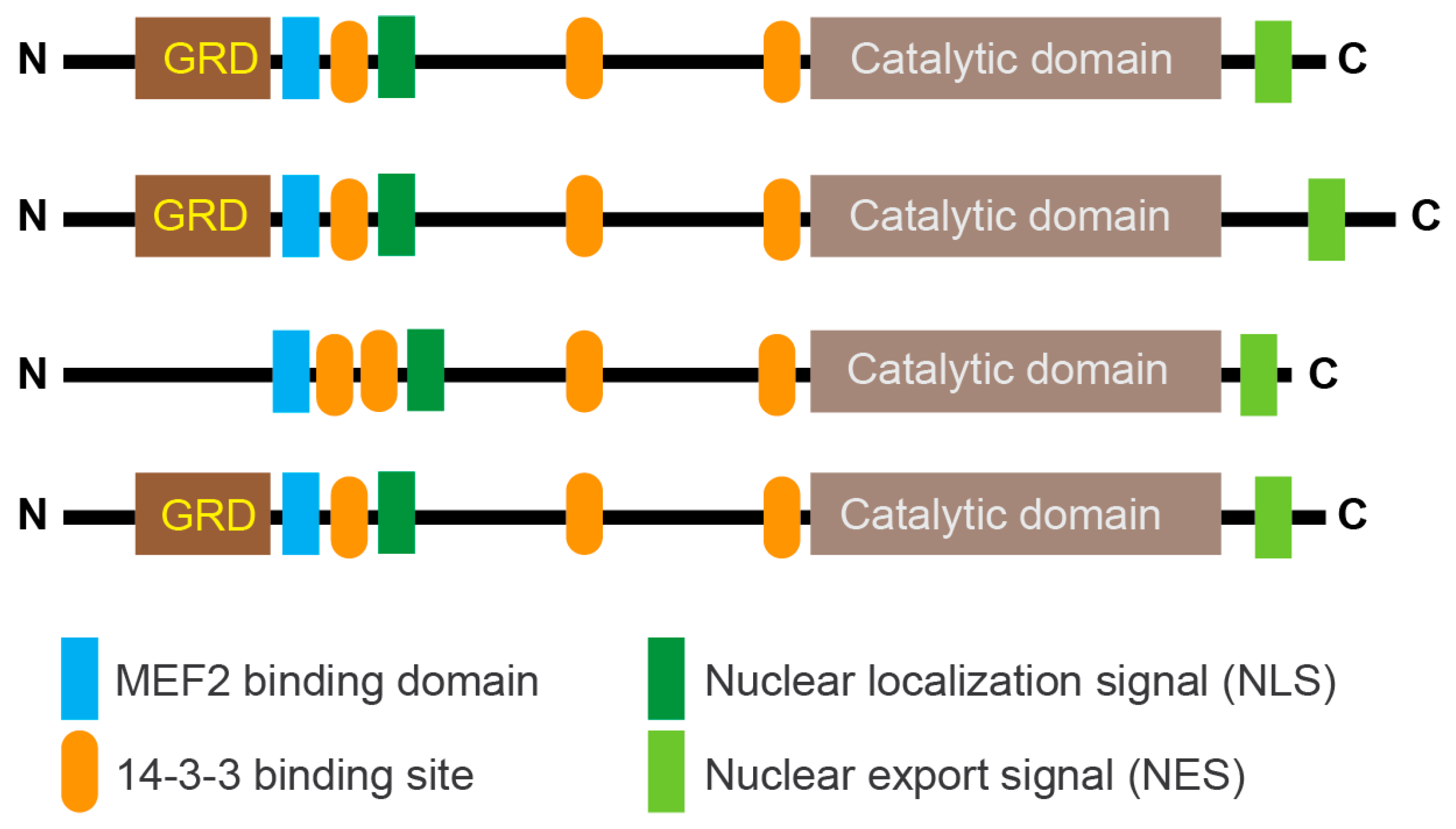 Biomolecules 15 01061 g002 Biomolecules 15 01061 g002