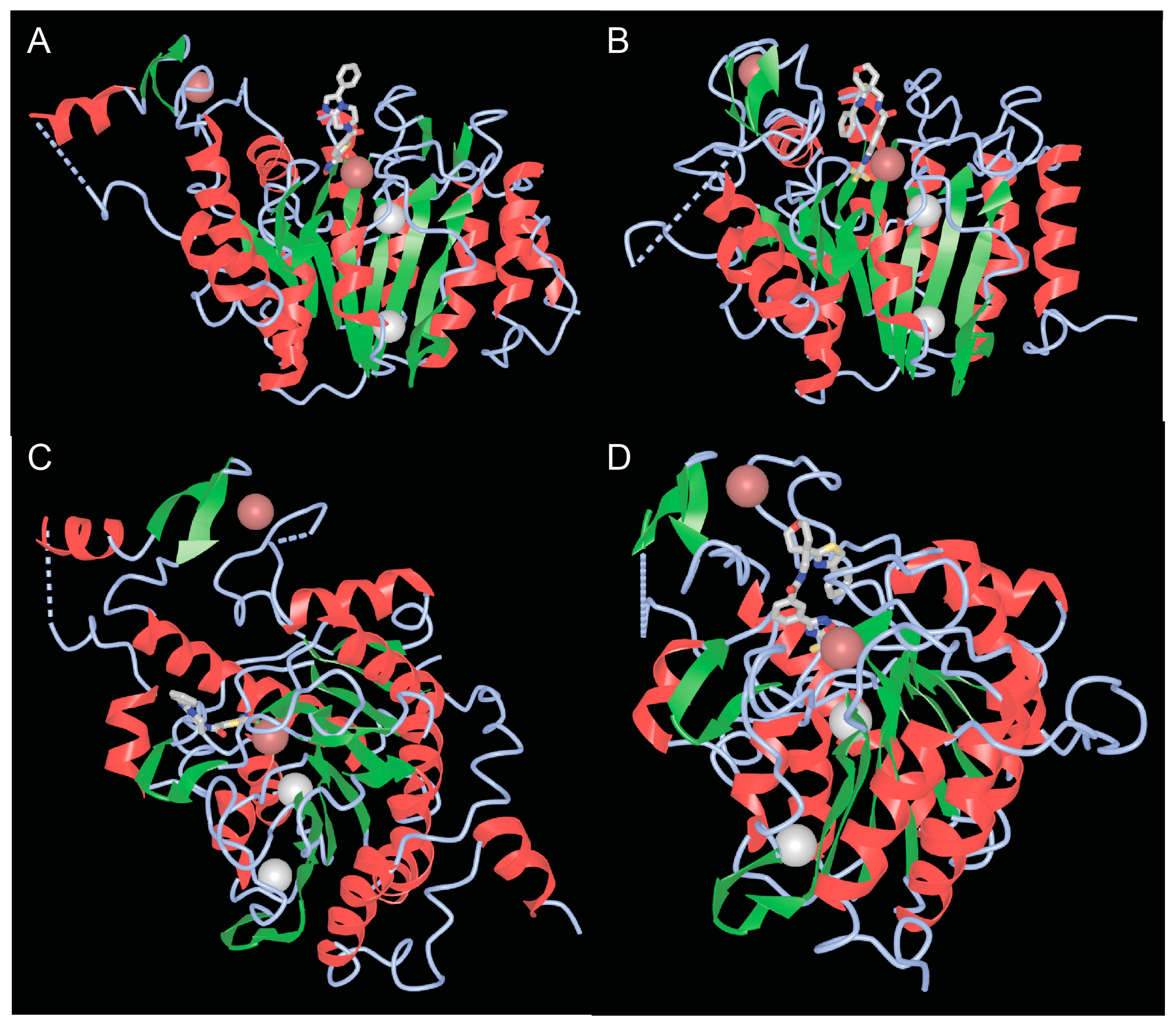 Biomolecules 15 01061 g004 Biomolecules 15 01061 g004