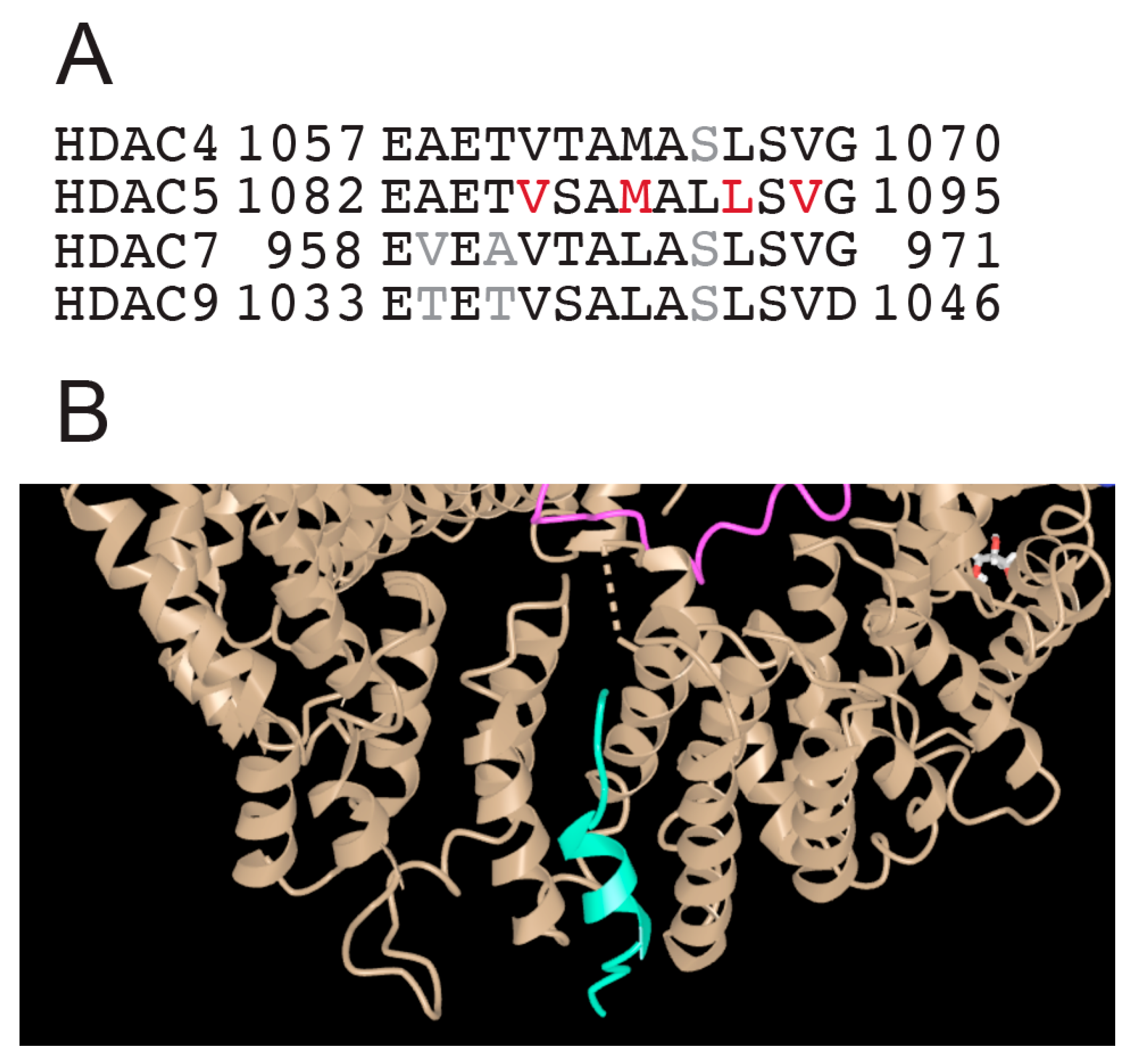 Biomolecules 15 01061 g005 Biomolecules 15 01061 g005