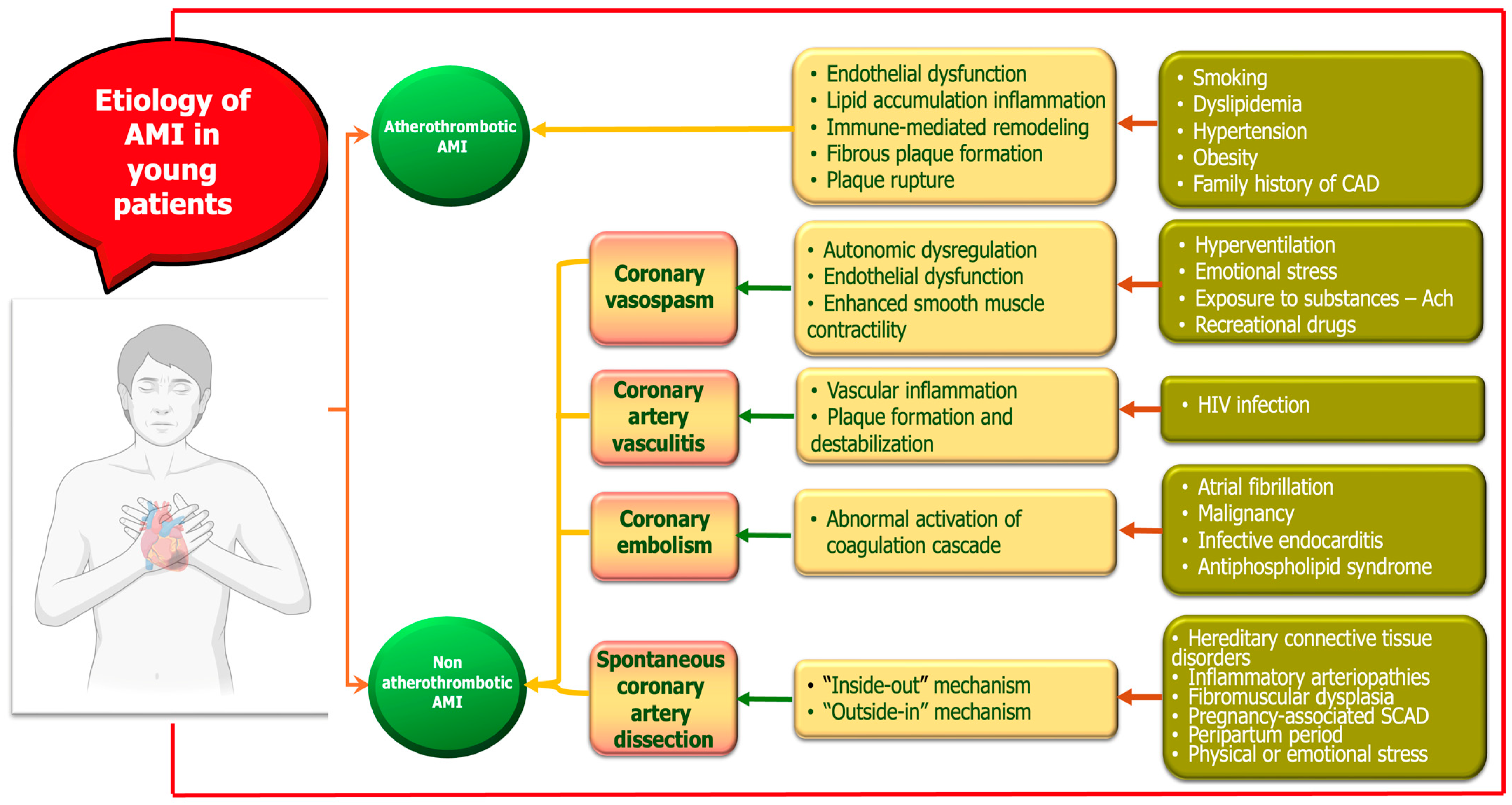 Biomolecules 15 01065 g001