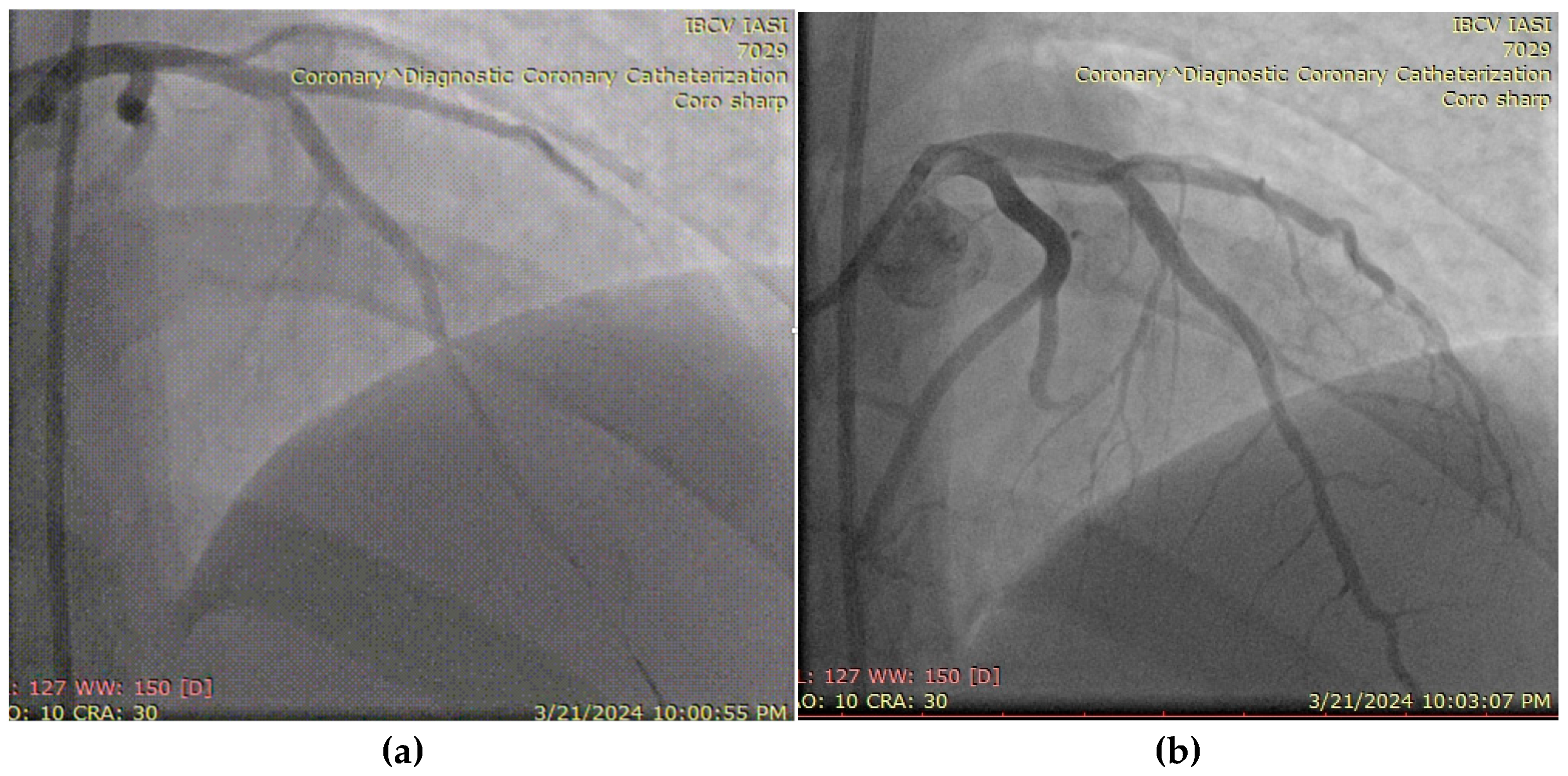 Biomolecules 15 01065 g007