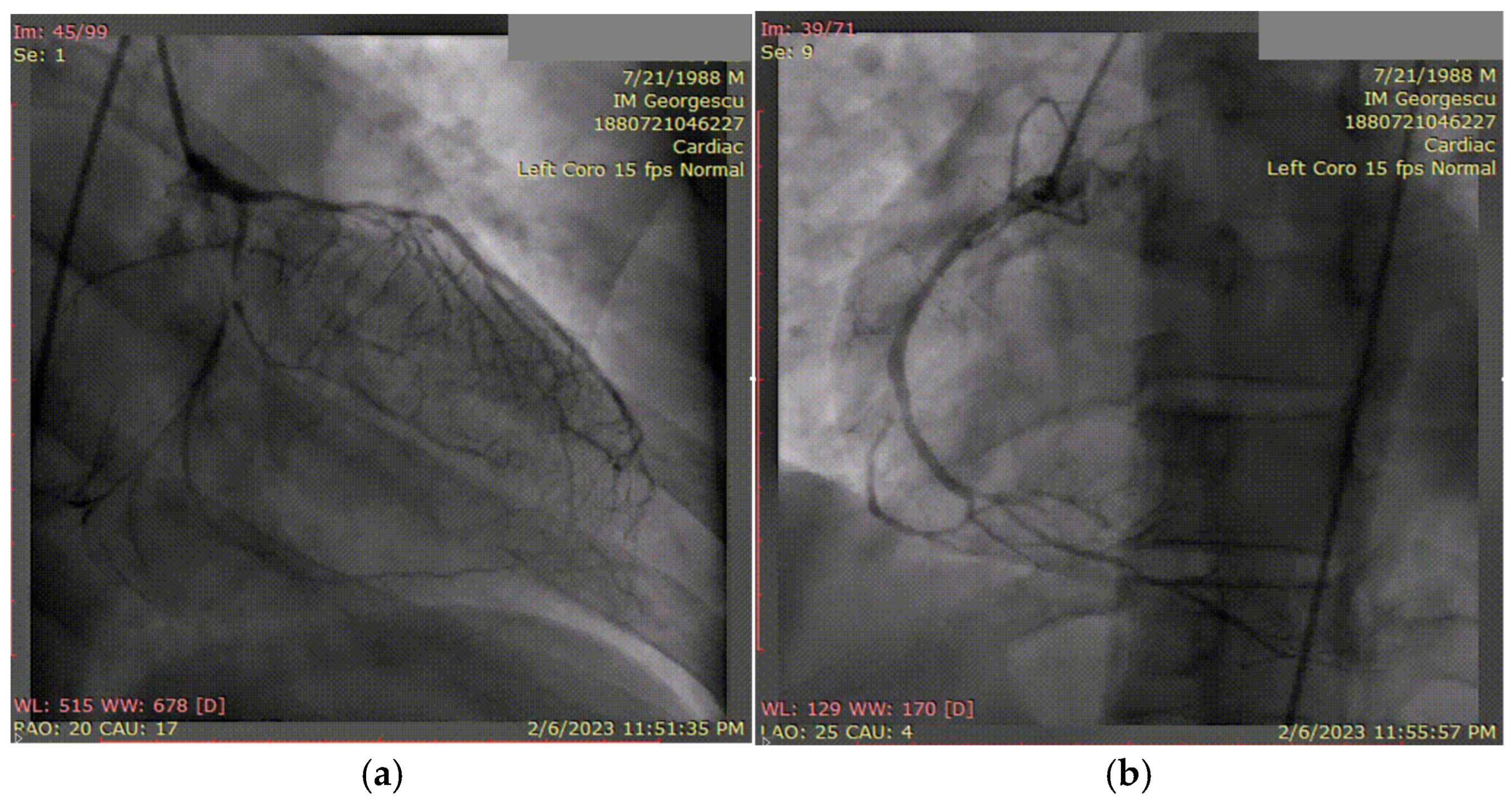 Biomolecules 15 01065 g010