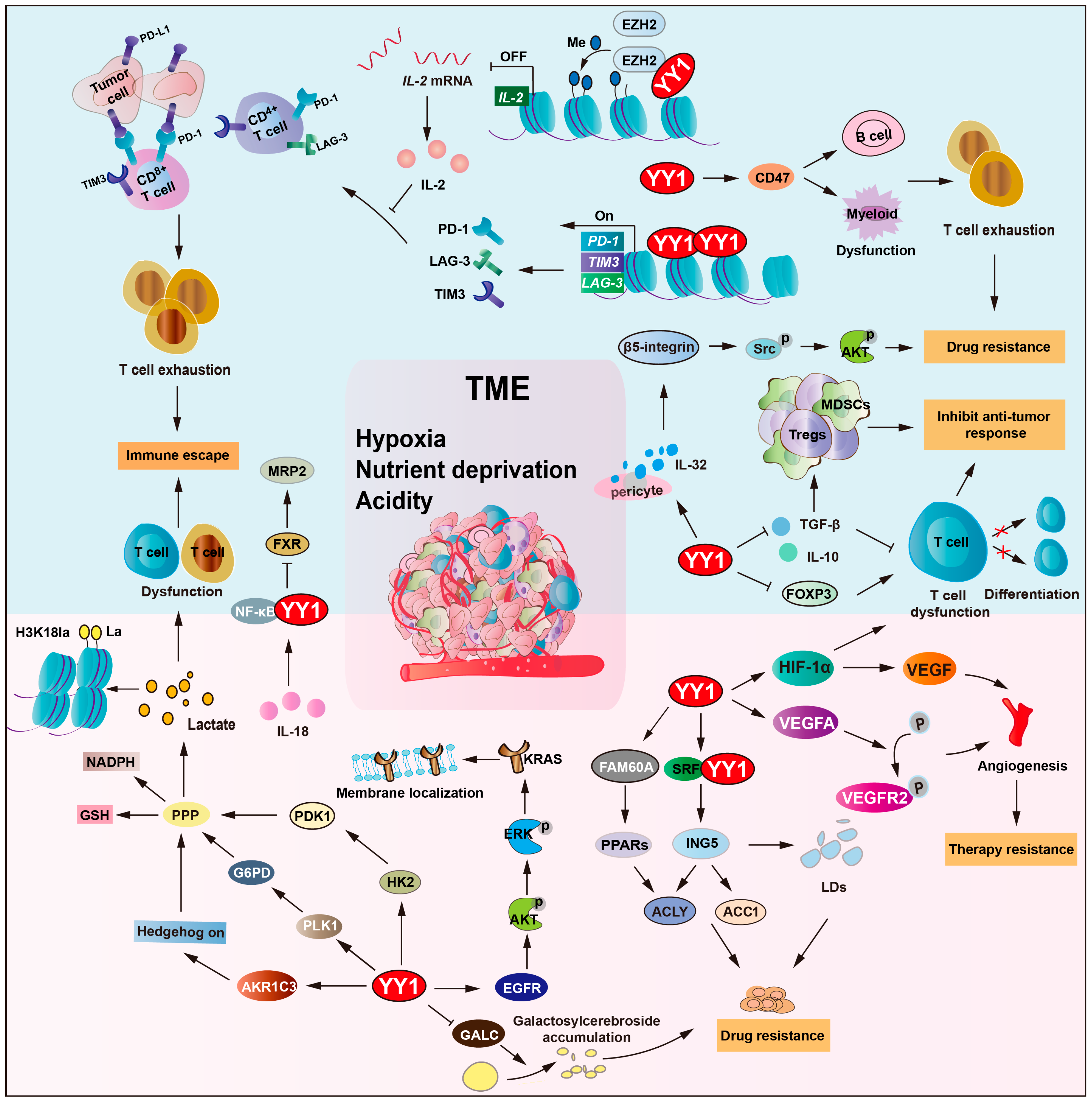 Biomolecules 15 01069 g005