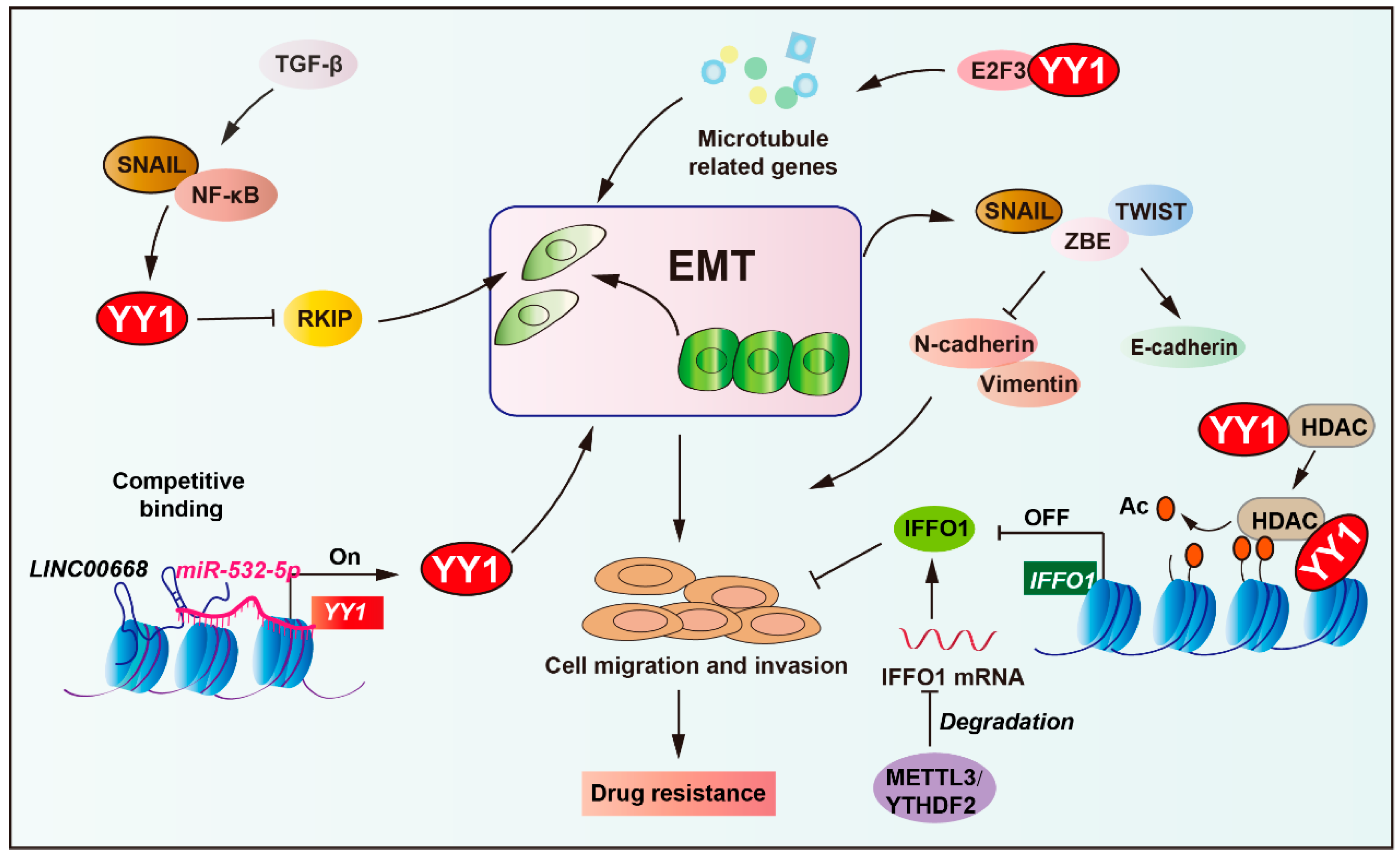 Biomolecules 15 01069 g006