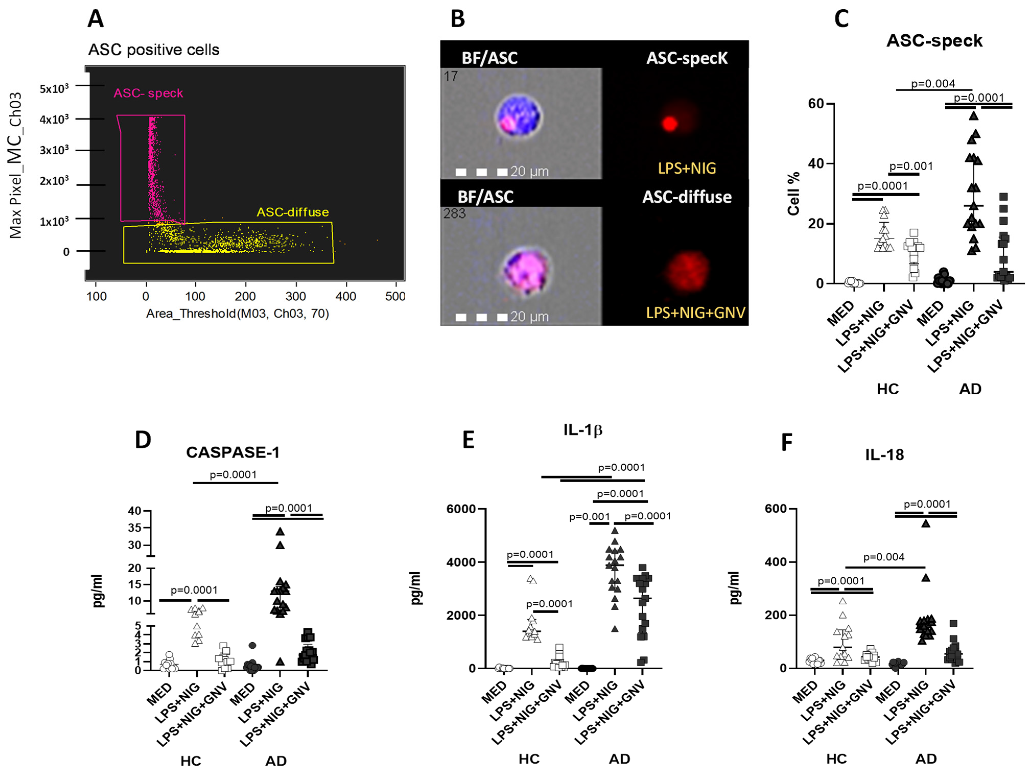 Biomolecules 15 01074 g004