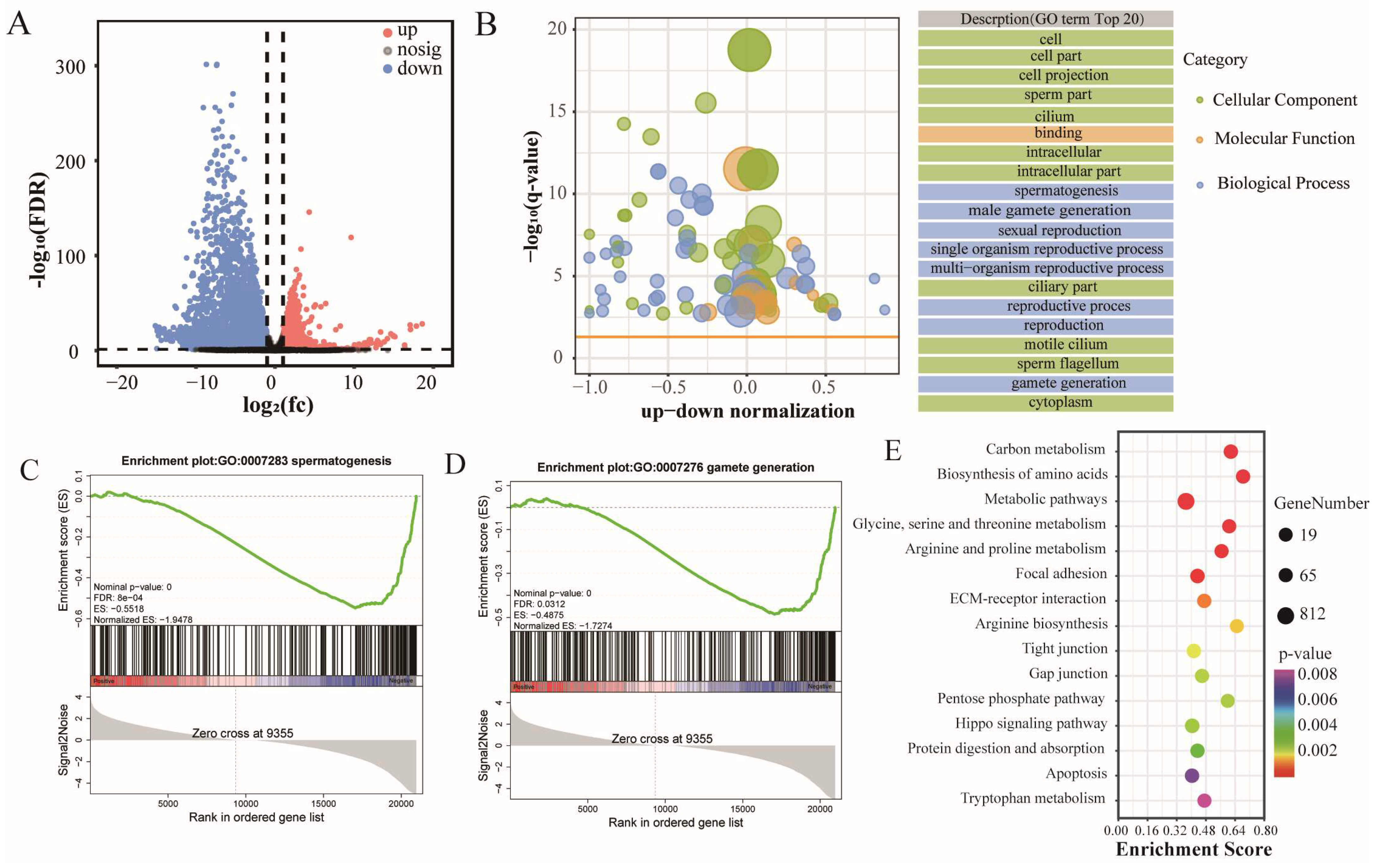 Biomolecules 15 01080 g002 Biomolecules 15 01080 g002