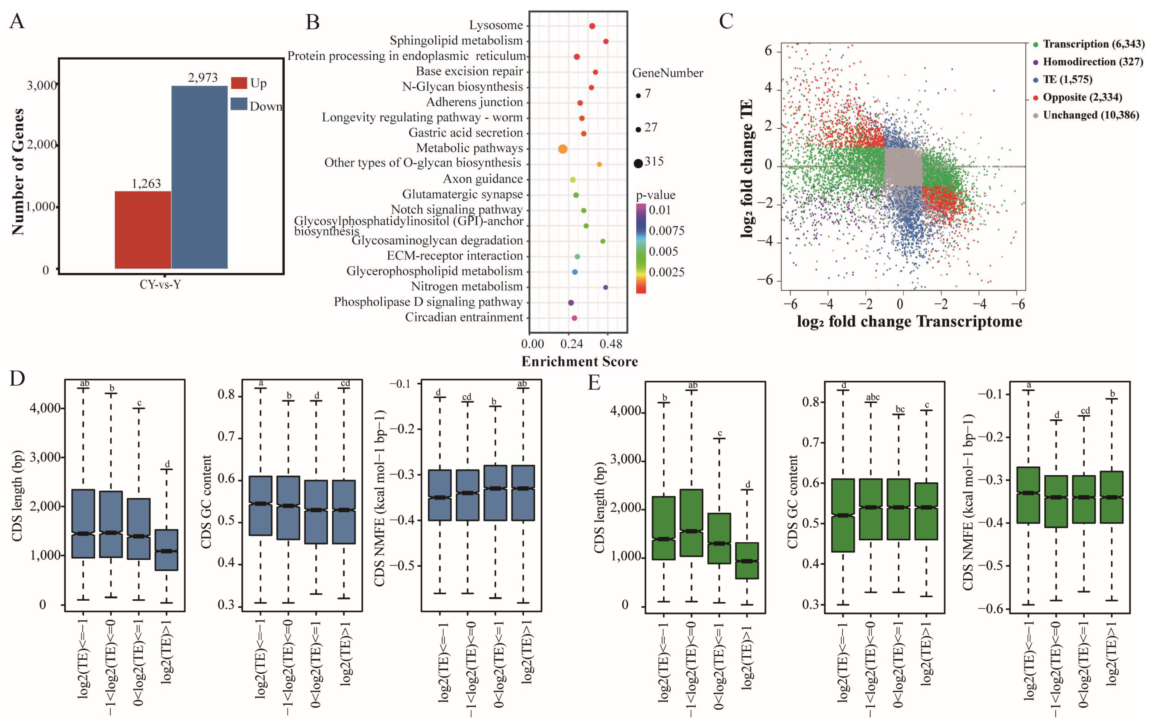 Biomolecules 15 01080 g004 Biomolecules 15 01080 g004