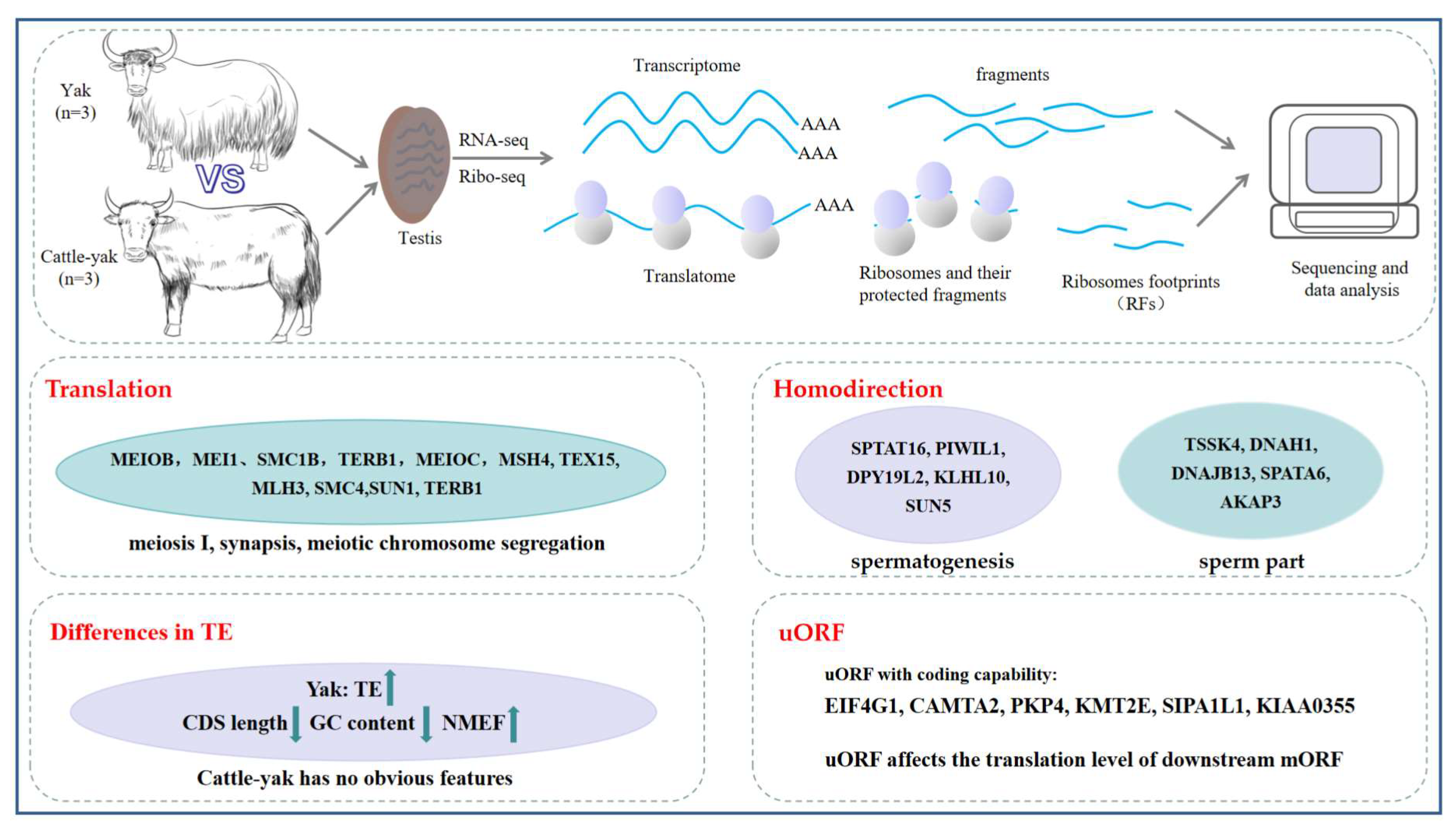 Biomolecules 15 01080 g006 Biomolecules 15 01080 g006