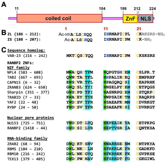 Biomolecules 15 01091 g001