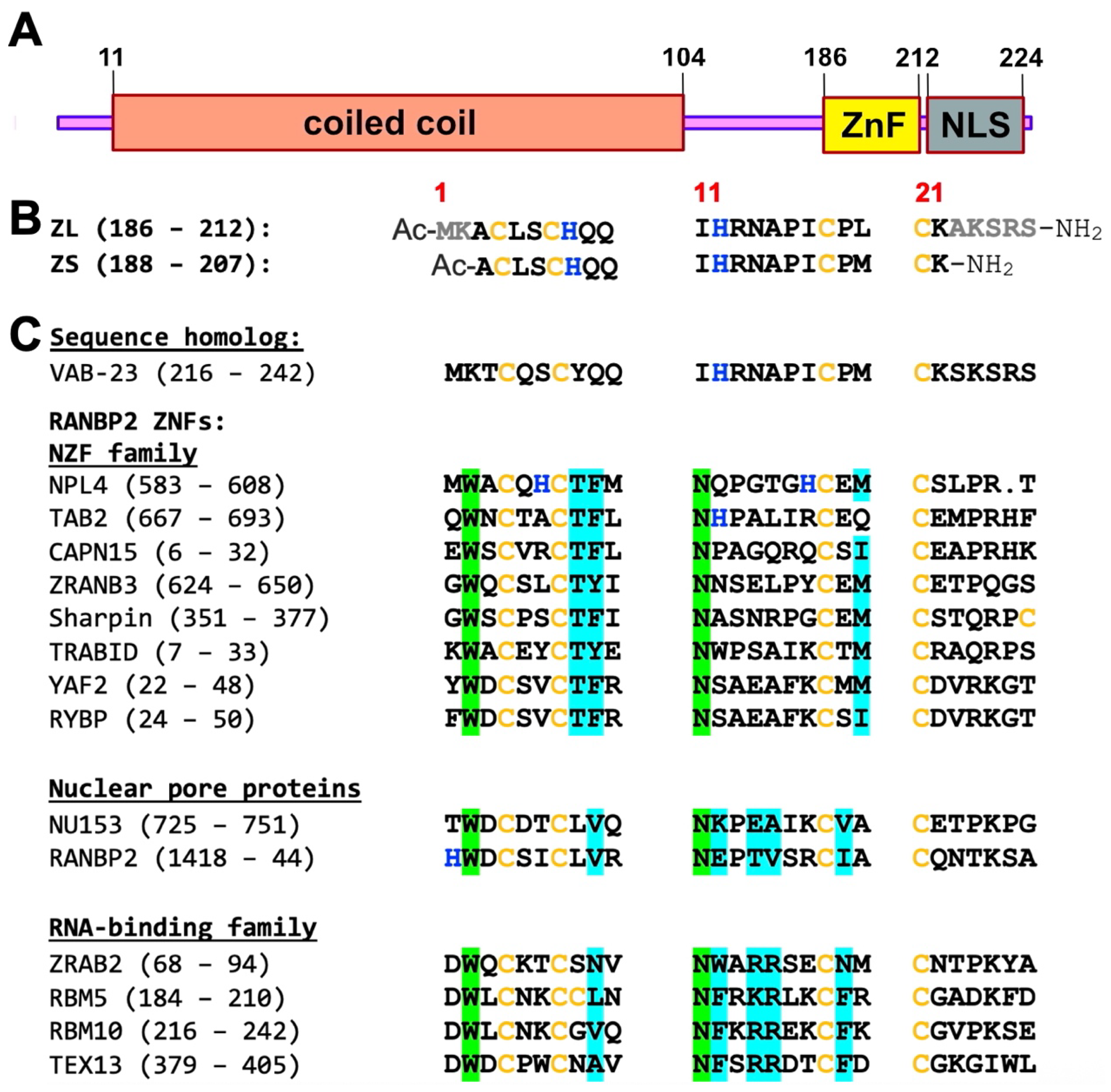Biomolecules 15 01091 g001