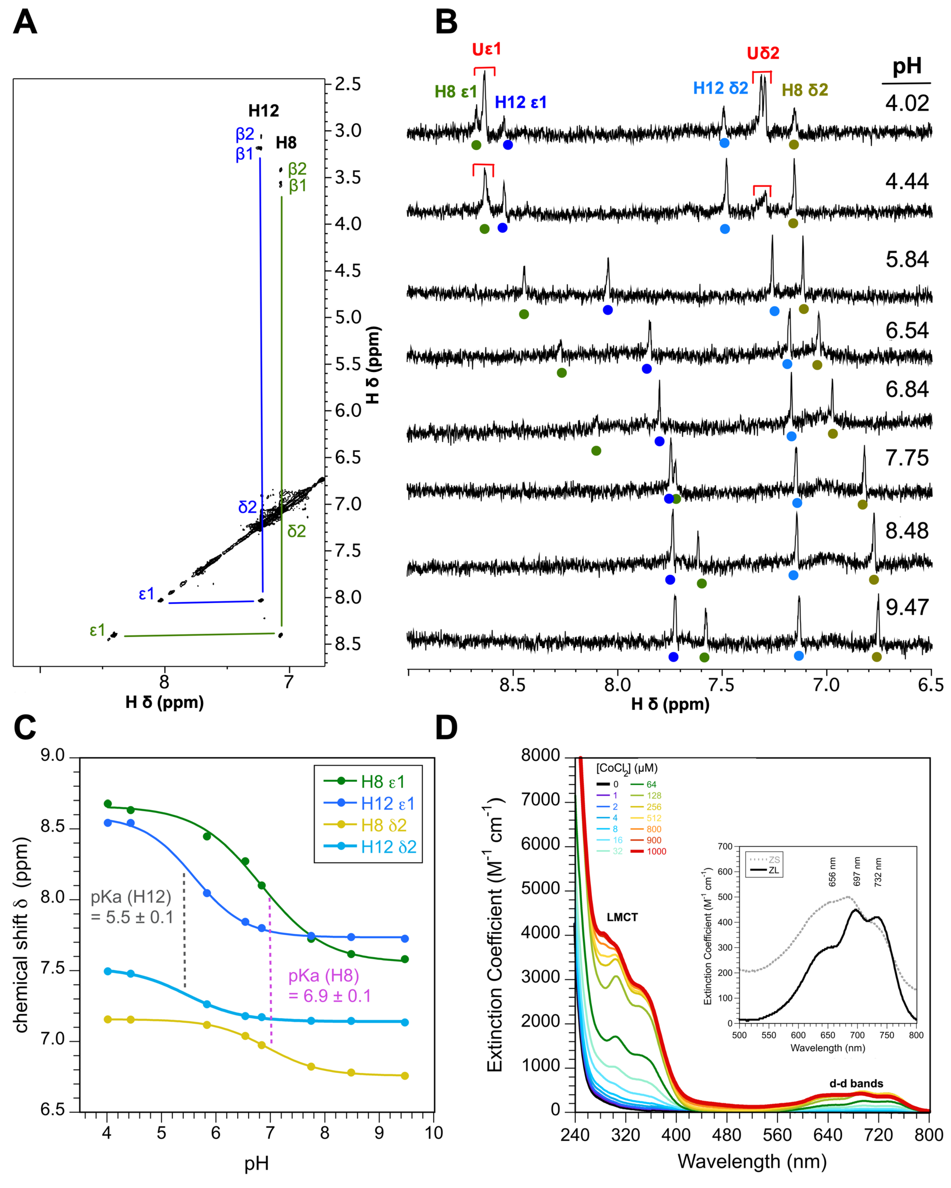Biomolecules 15 01091 g004