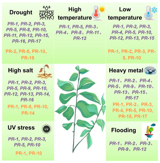 Involvement of Pathogenesis-Related Proteins and Their Roles in Abiotic ...