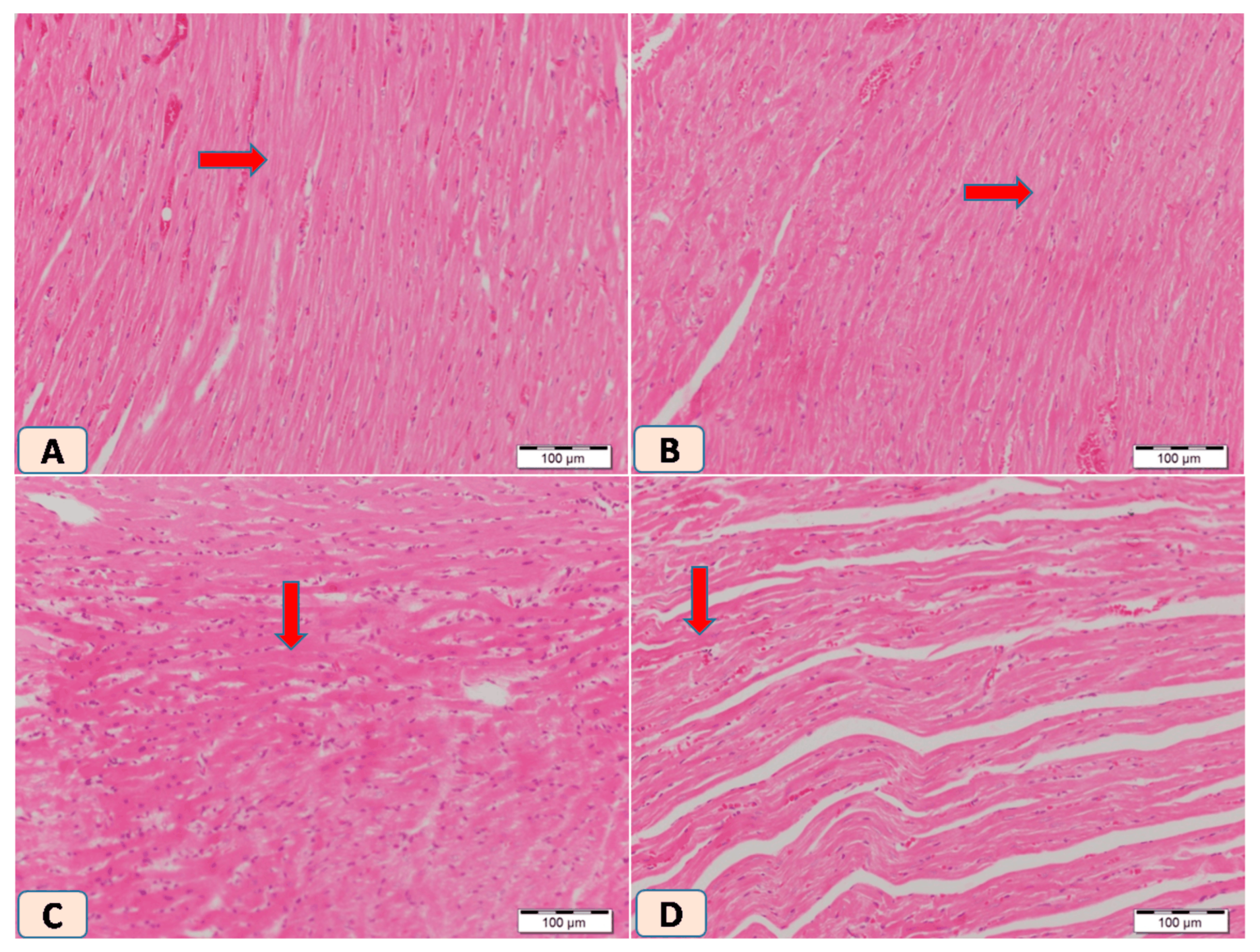 Biomolecules 15 01104 g004