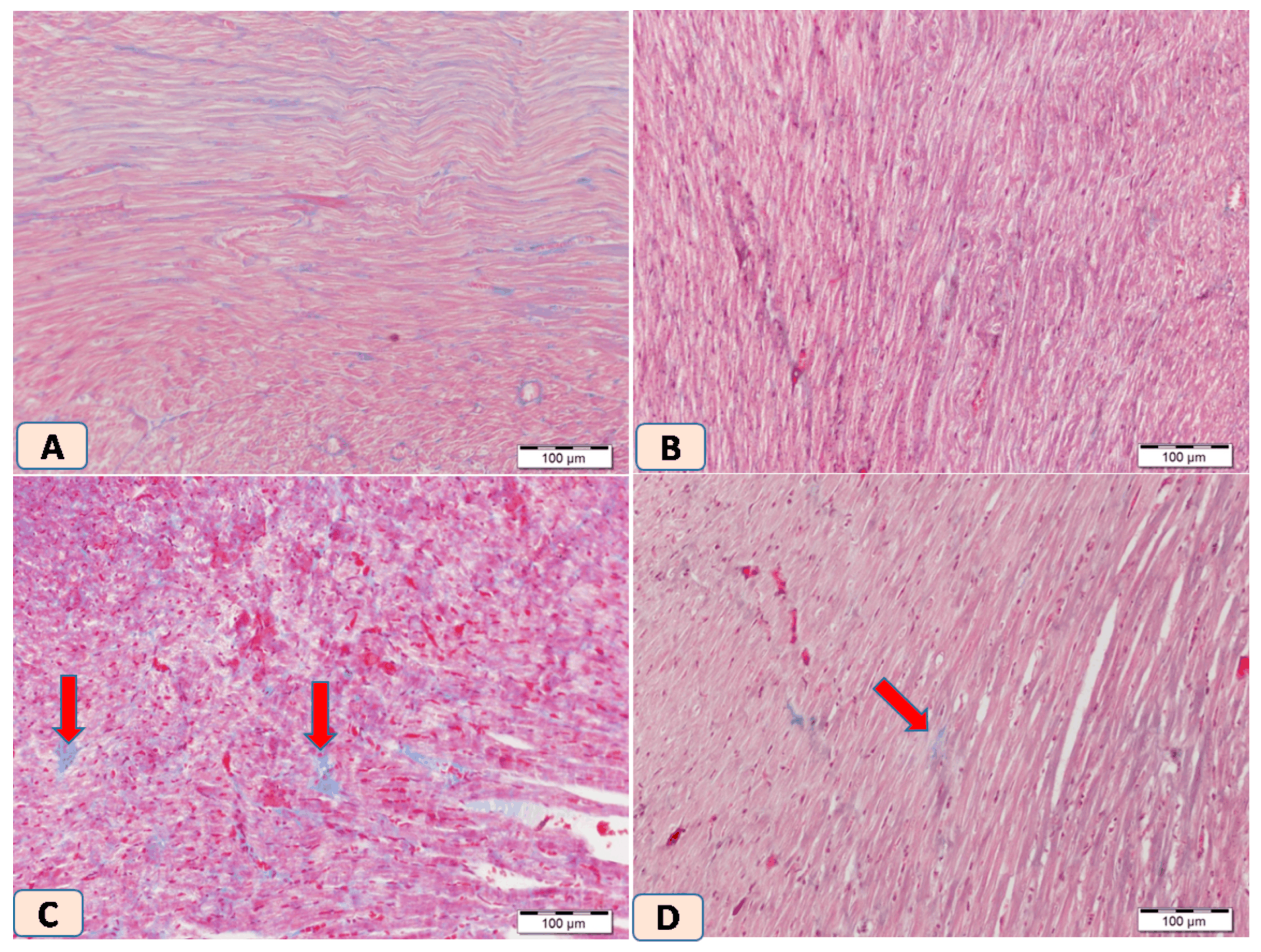 Biomolecules 15 01104 g005