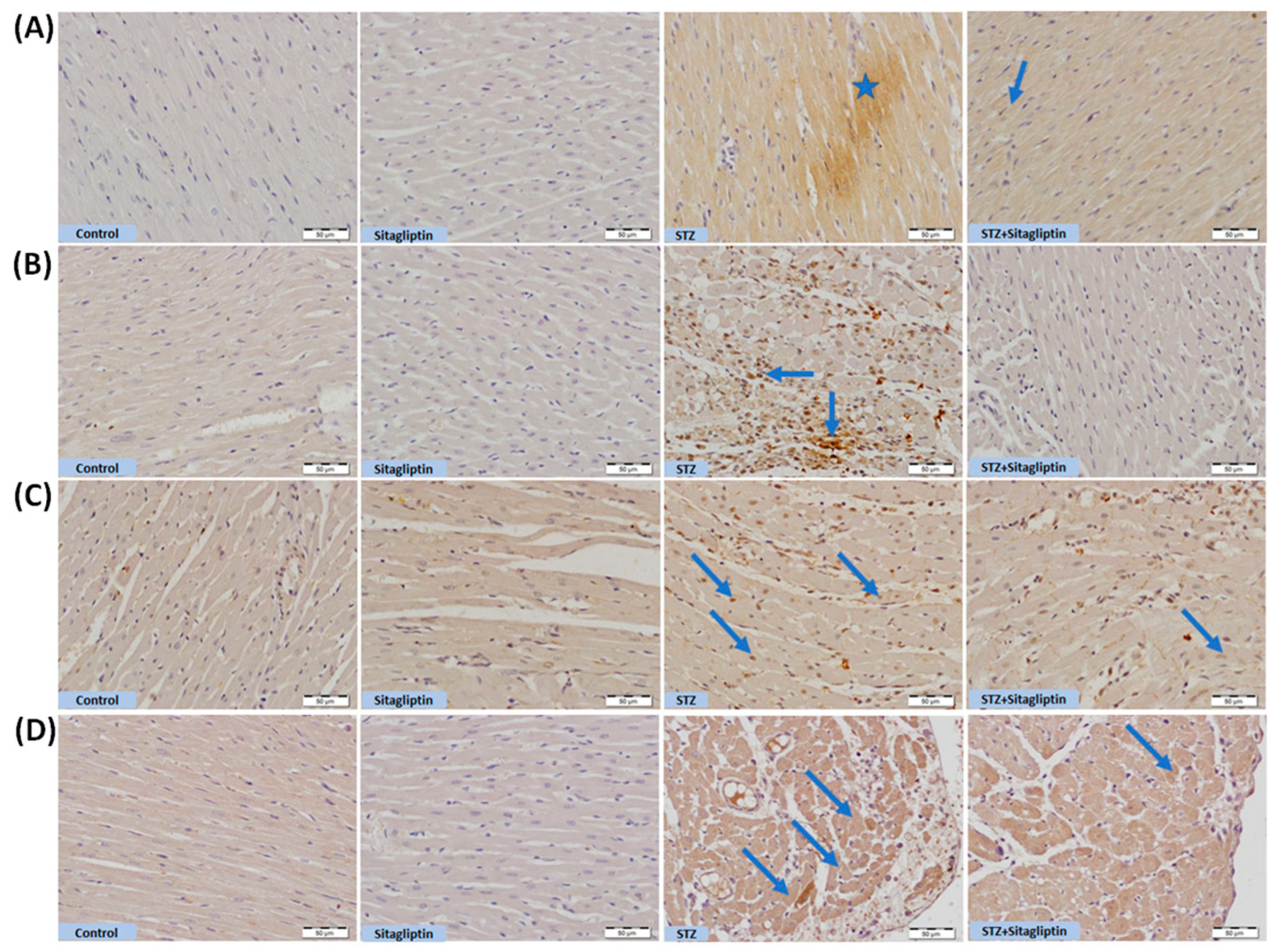 Biomolecules 15 01104 g008