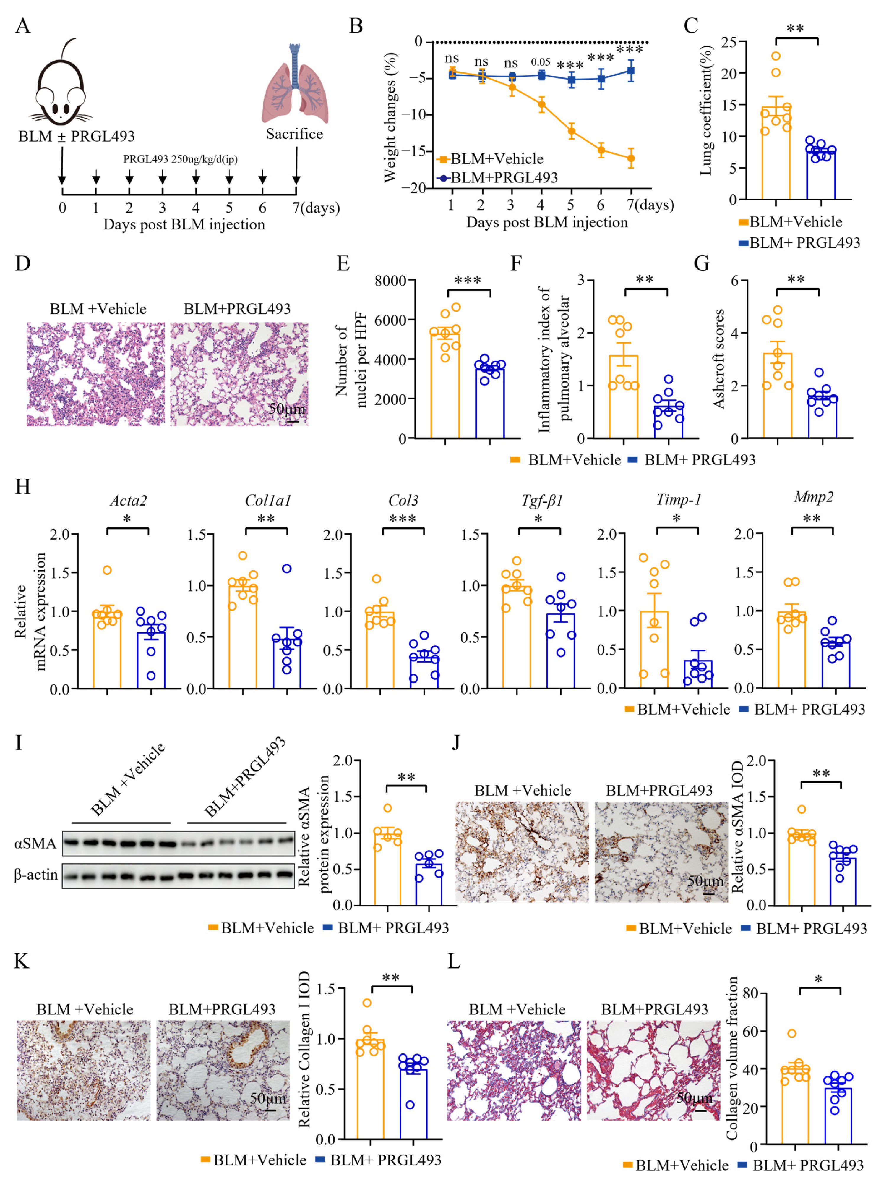 Biomolecules 15 01106 g002 Biomolecules 15 01106 g002