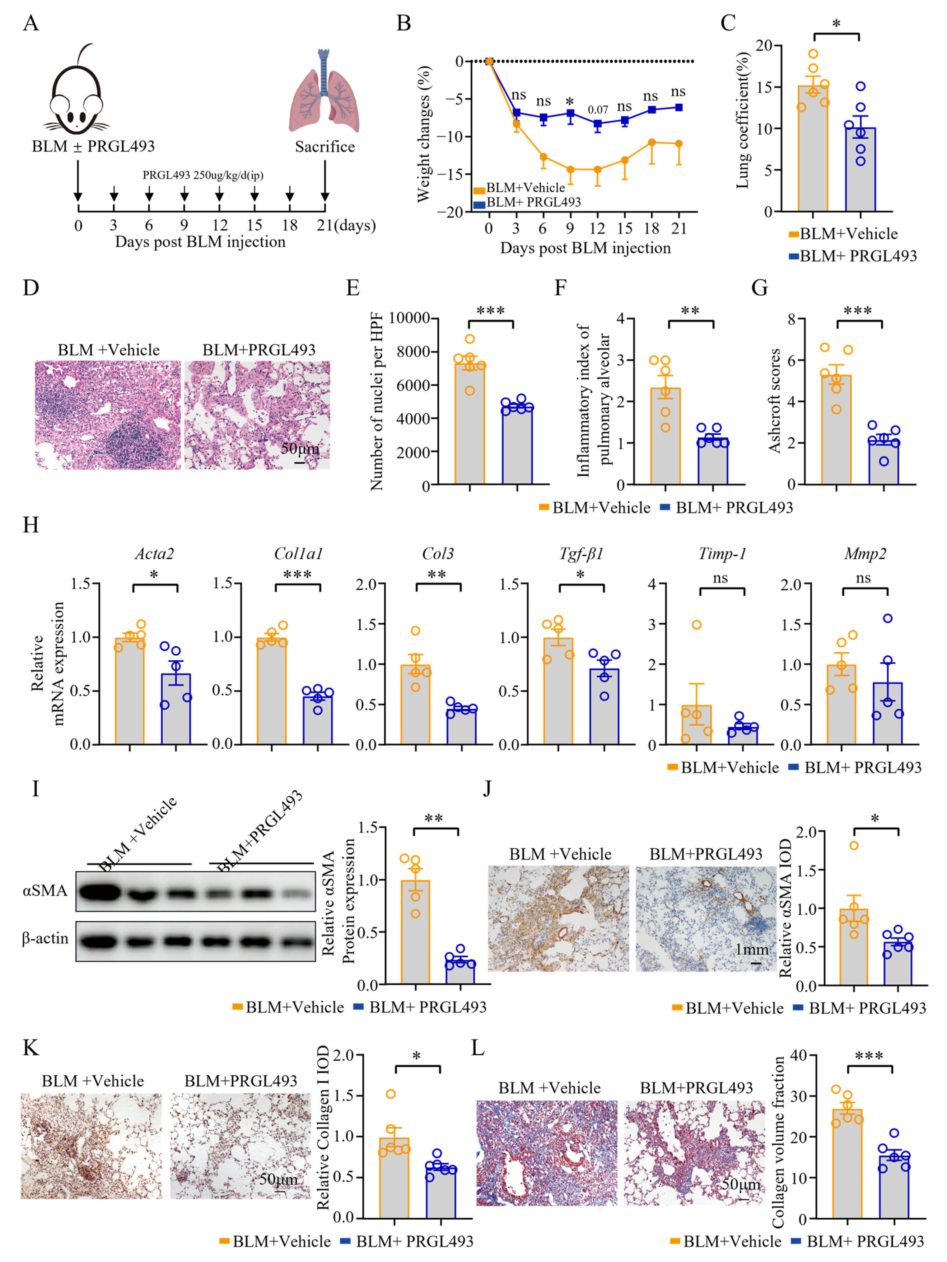 Biomolecules 15 01106 g003 Biomolecules 15 01106 g003