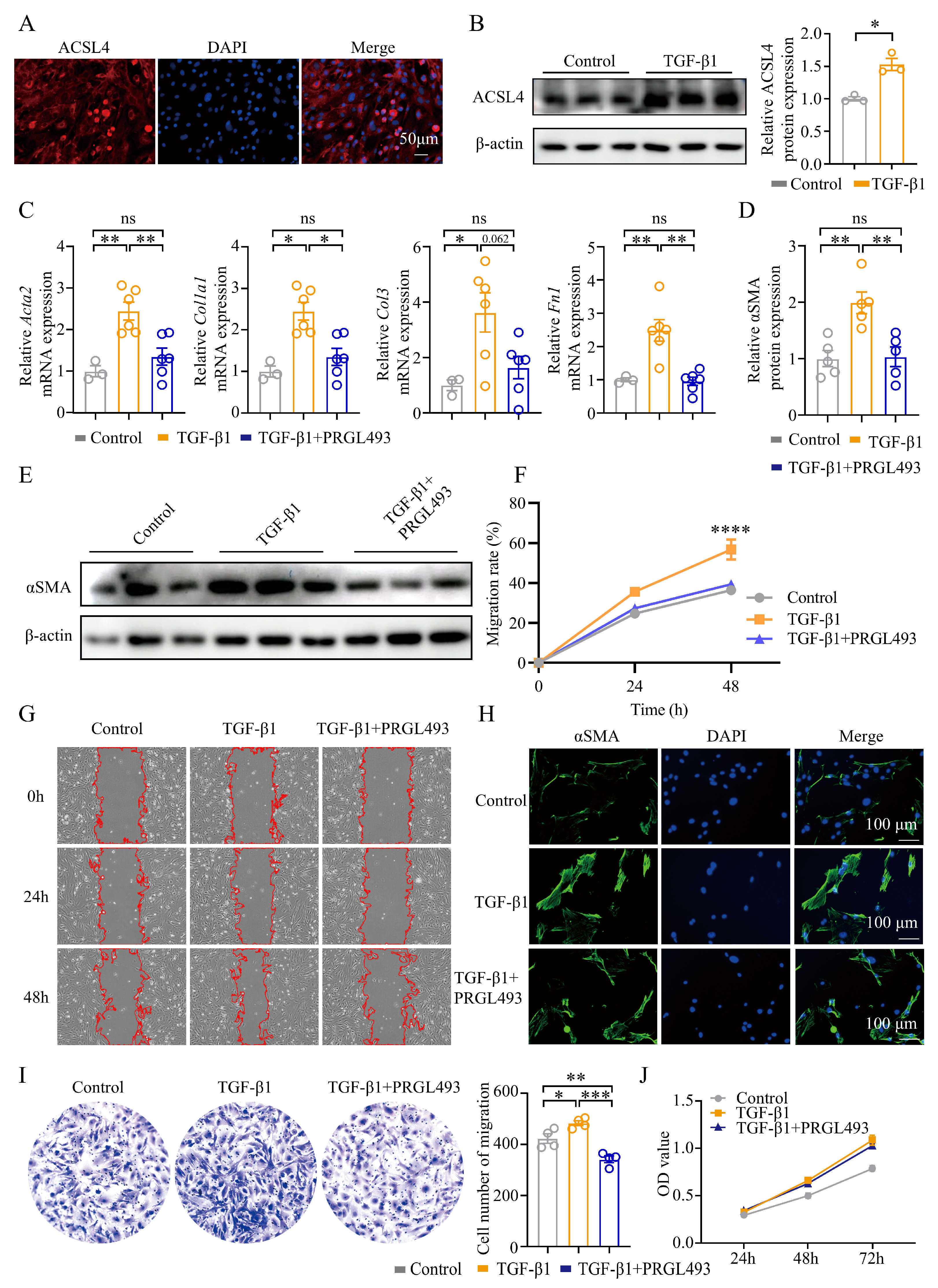 Biomolecules 15 01106 g004 Biomolecules 15 01106 g004