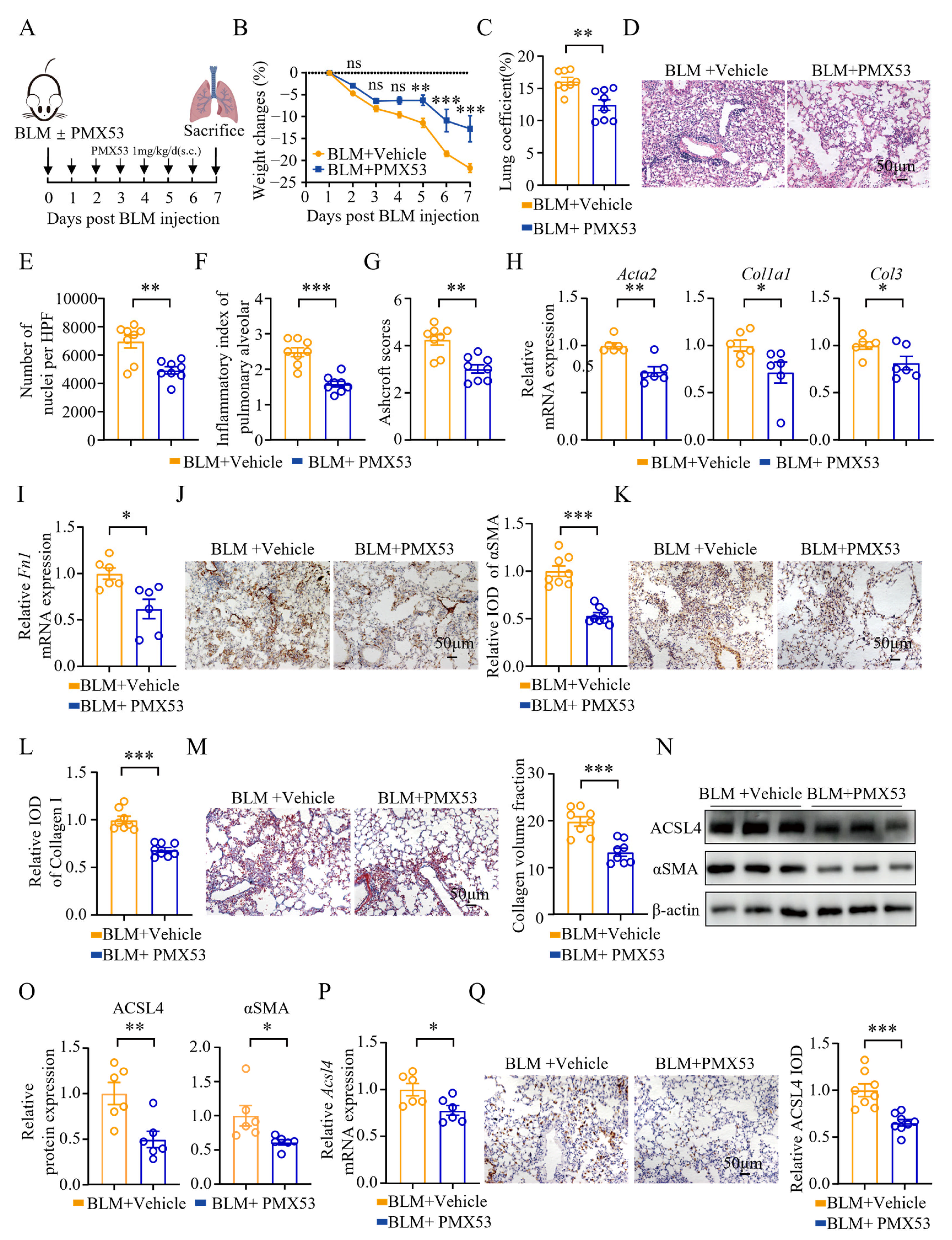 Biomolecules 15 01106 g005 Biomolecules 15 01106 g005