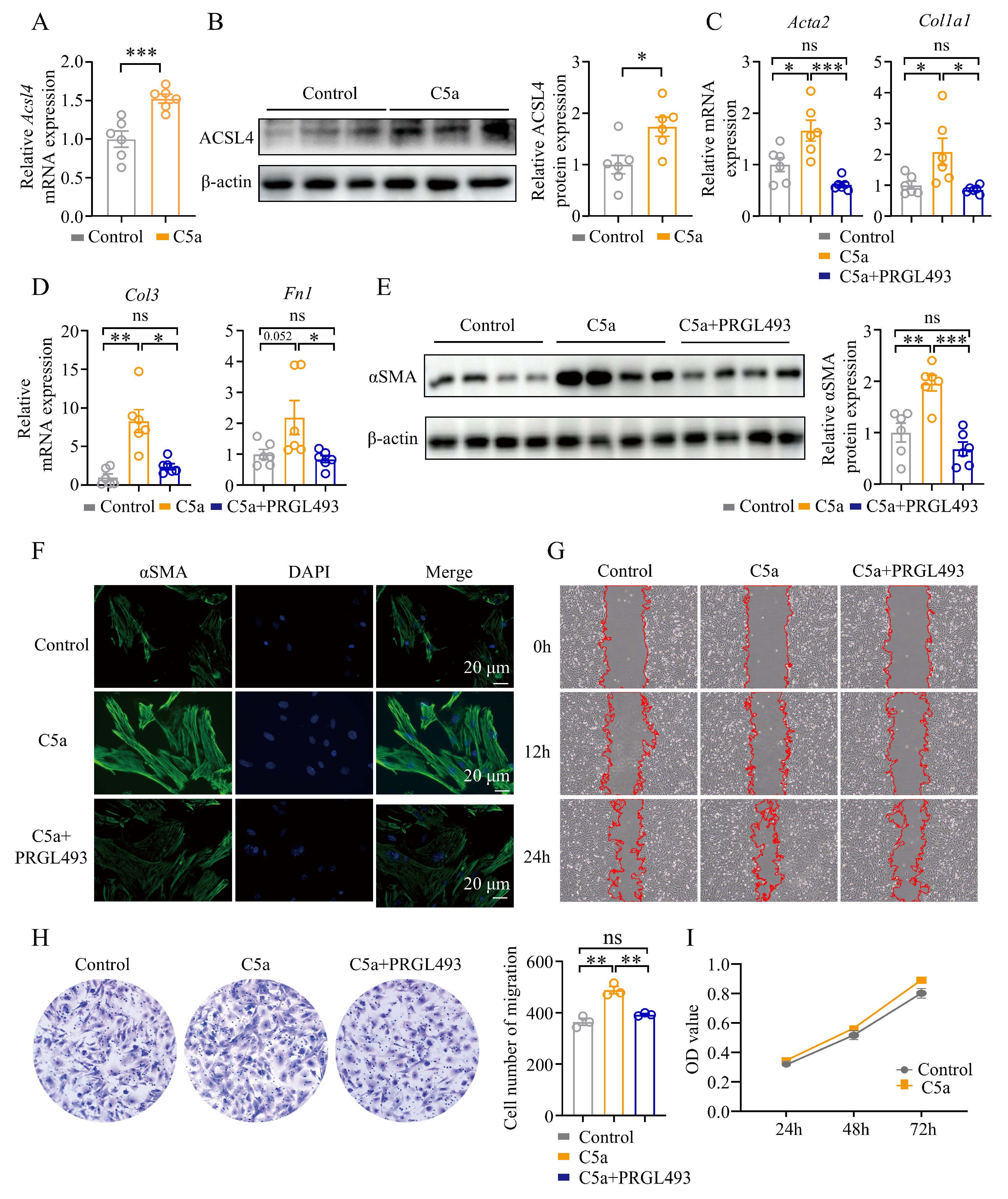 Biomolecules 15 01106 g007 Biomolecules 15 01106 g007