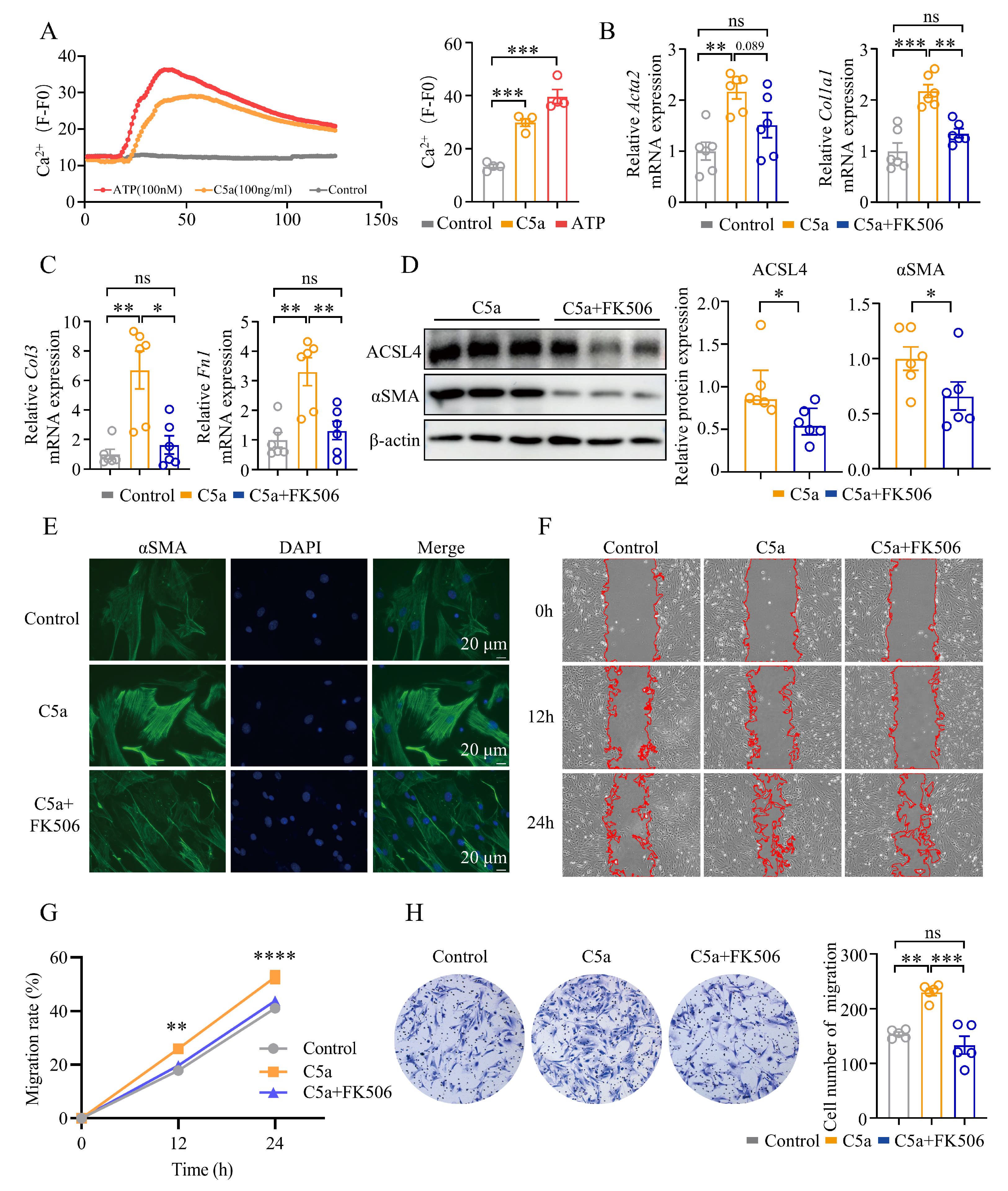 Biomolecules 15 01106 g008 Biomolecules 15 01106 g008