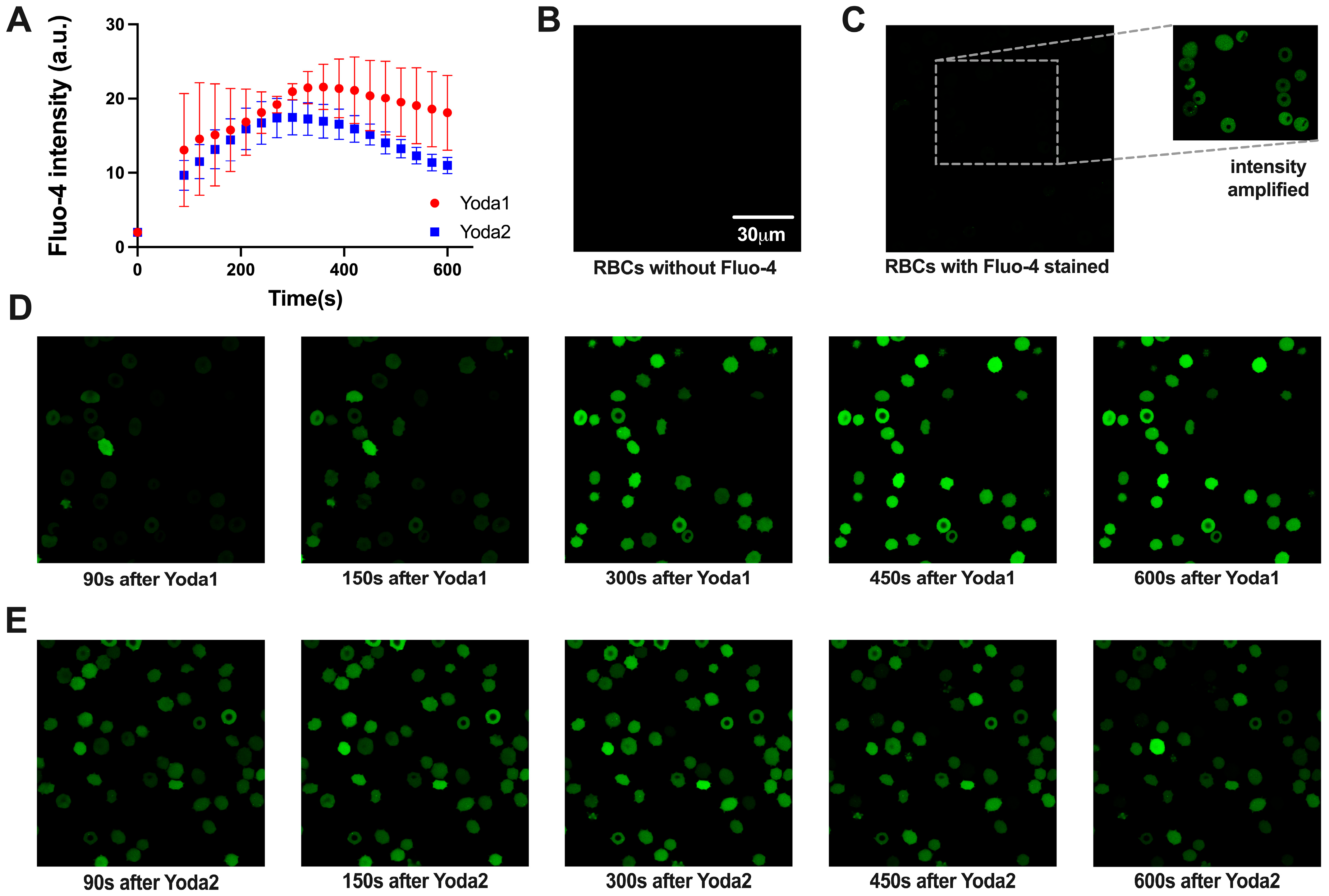 Biomolecules 15 01110 g003