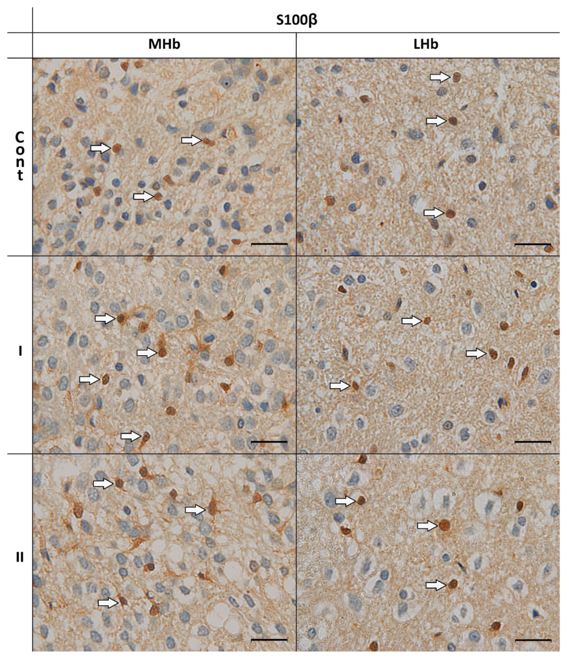 Biomolecules 15 01111 g002