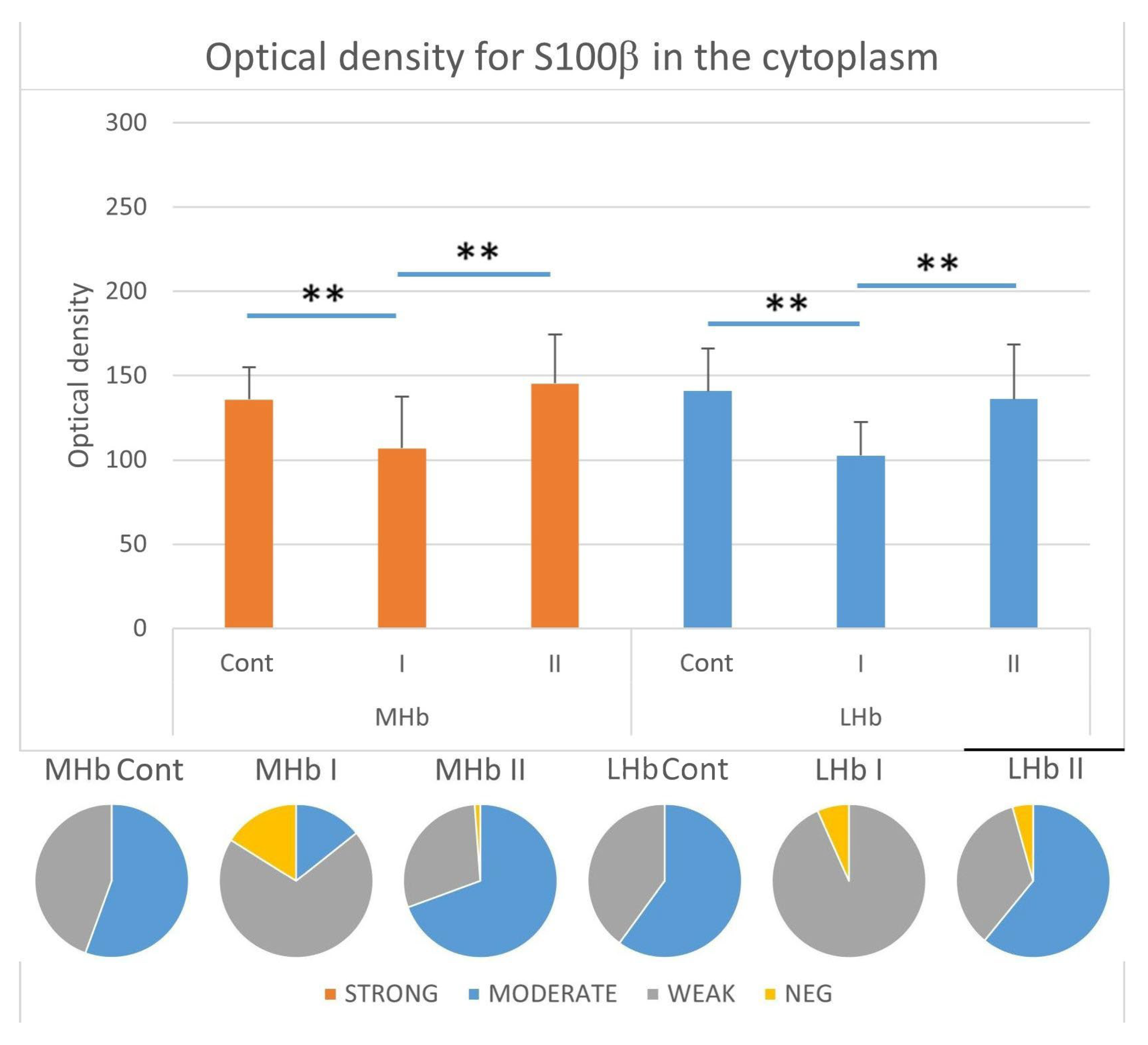 Biomolecules 15 01111 g007
