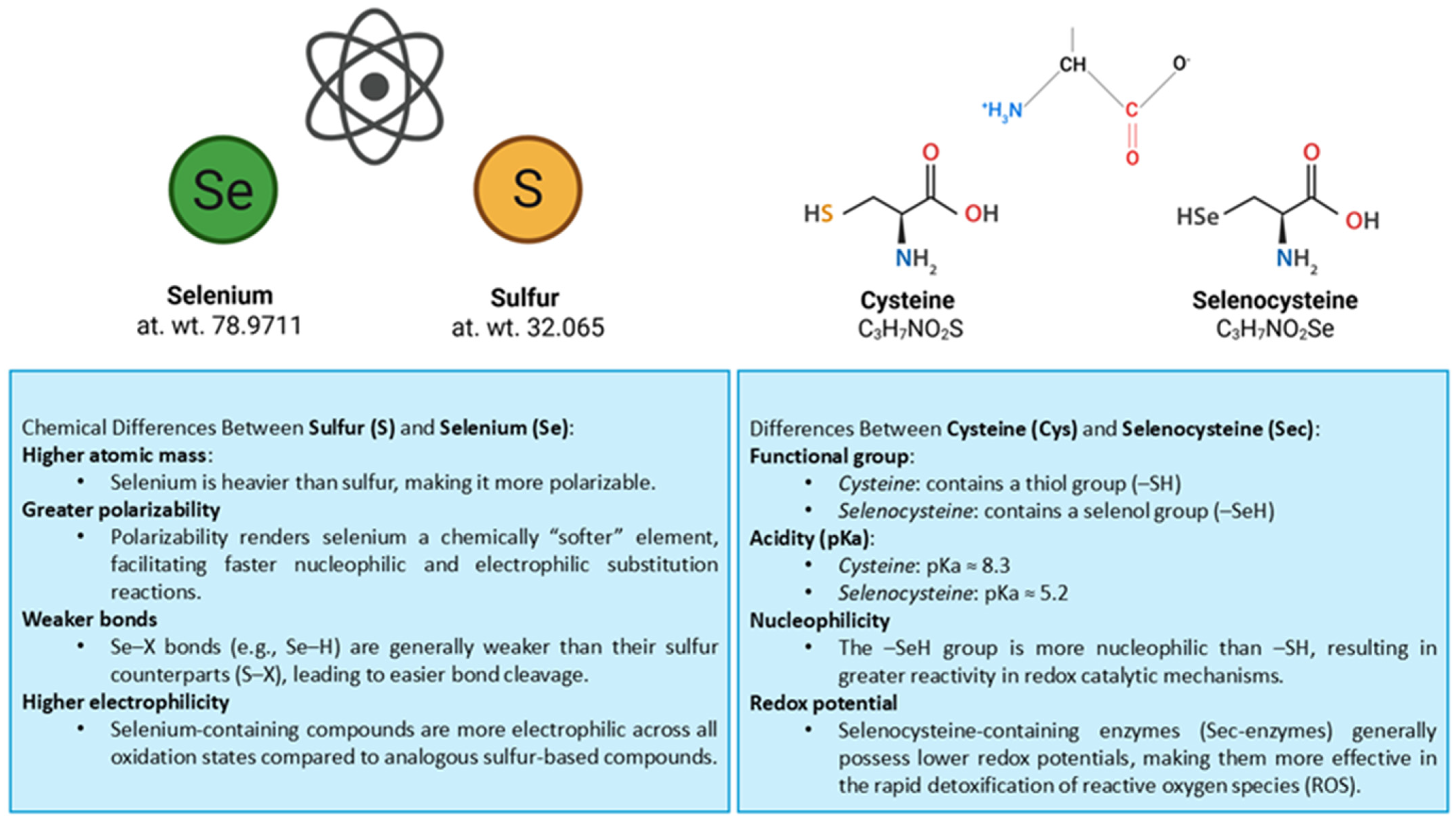Biomolecules 15 01115 g001