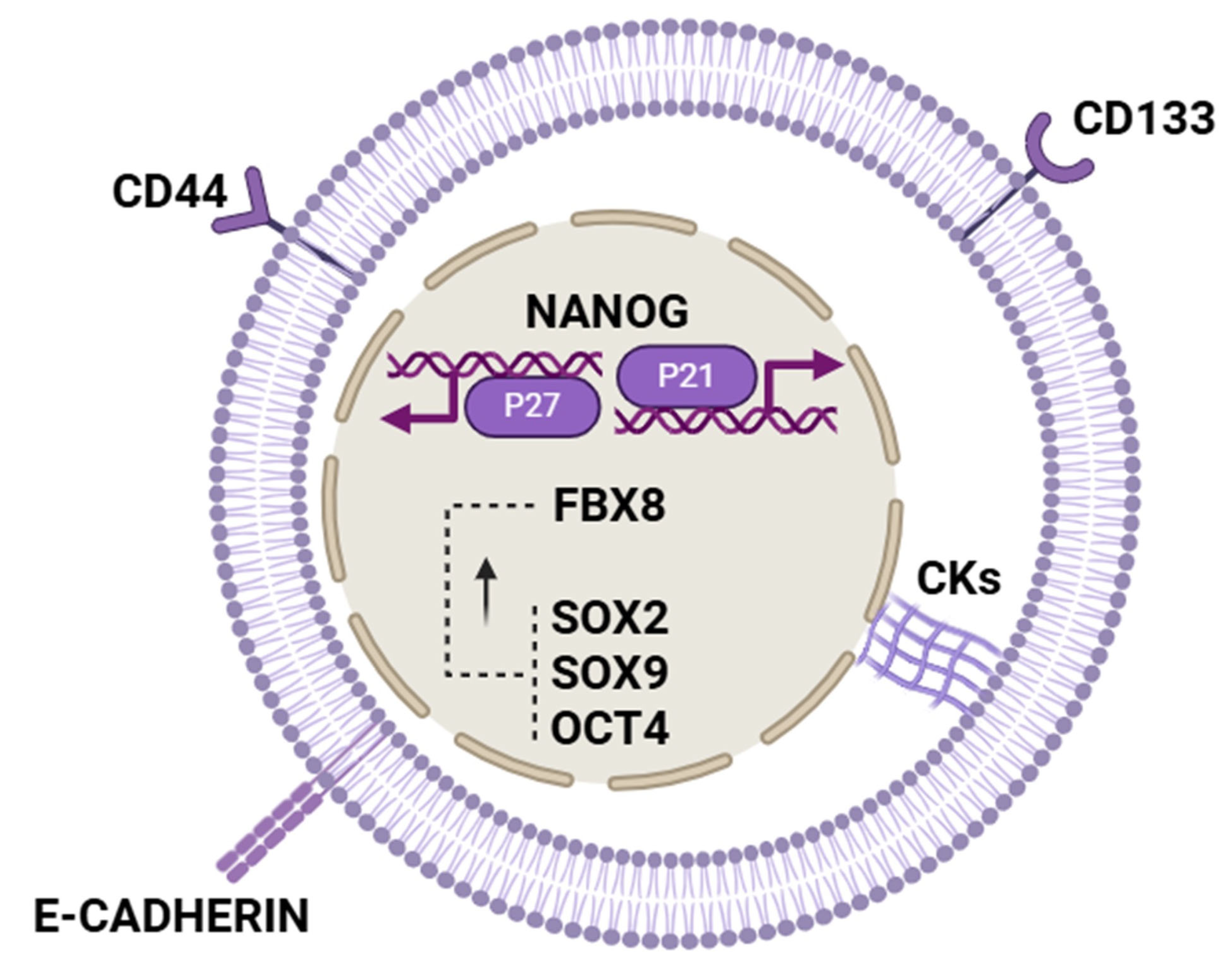 Biomolecules 15 01119 g003