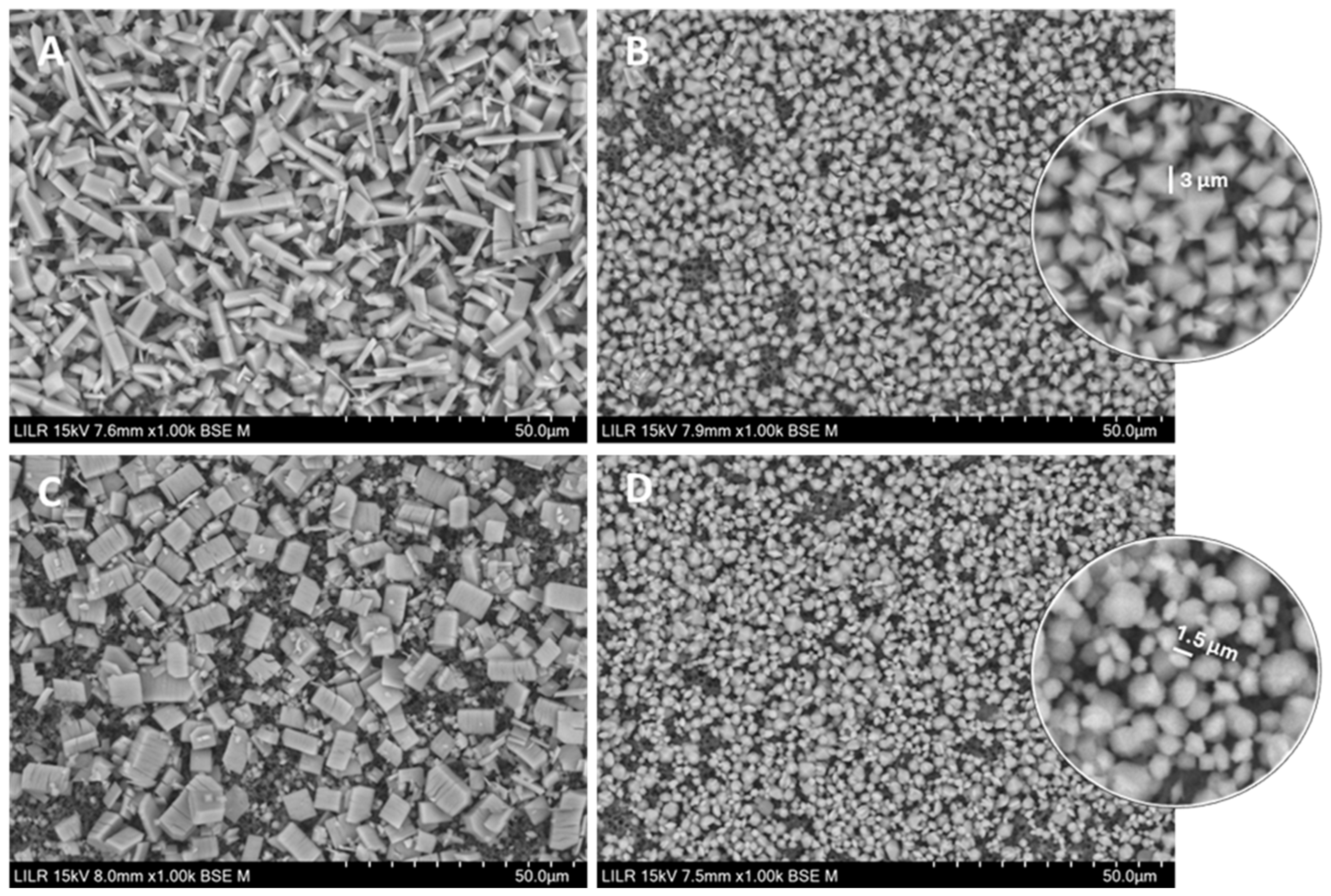 Biomolecules 15 01141 g005