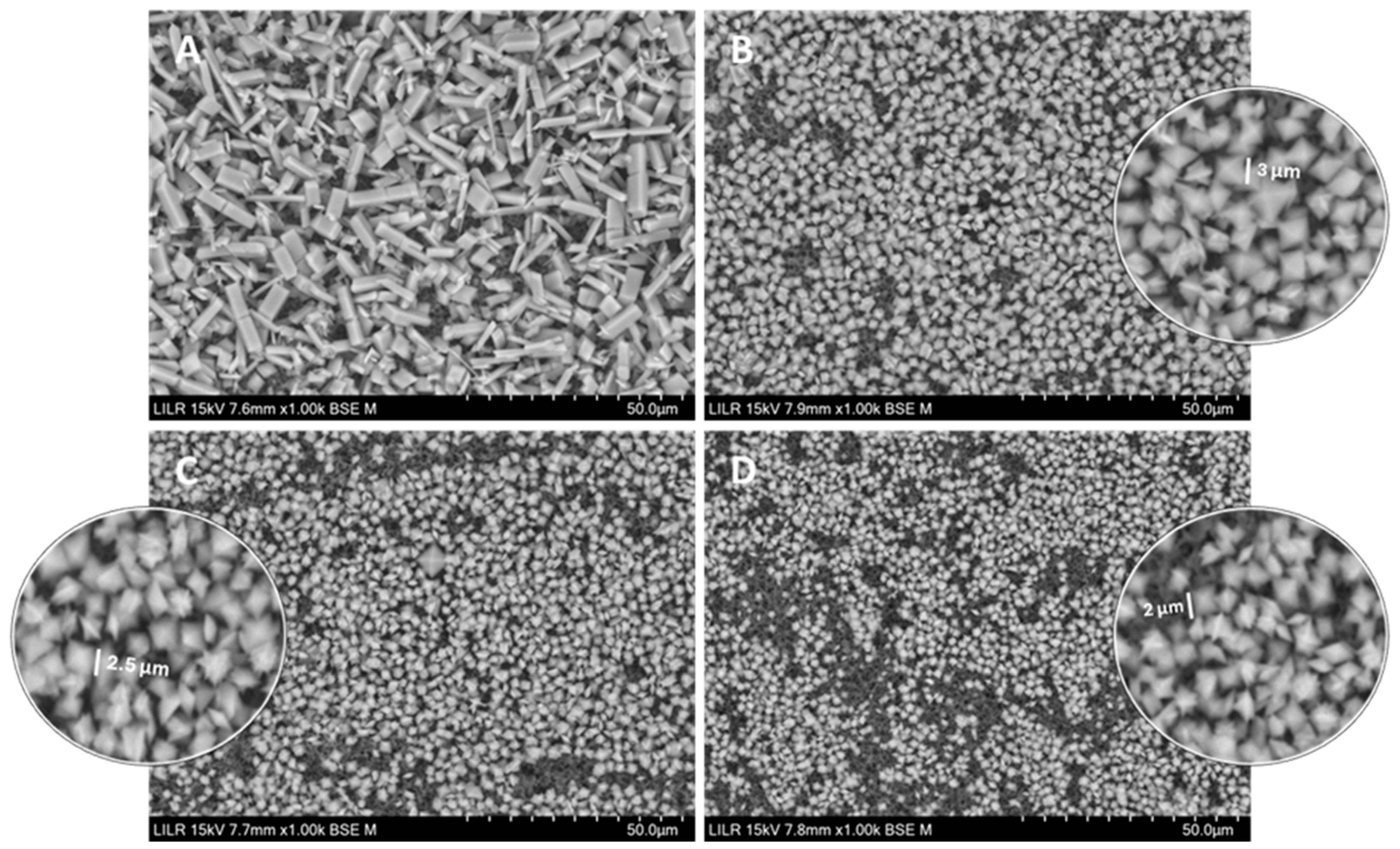 Biomolecules 15 01141 g007