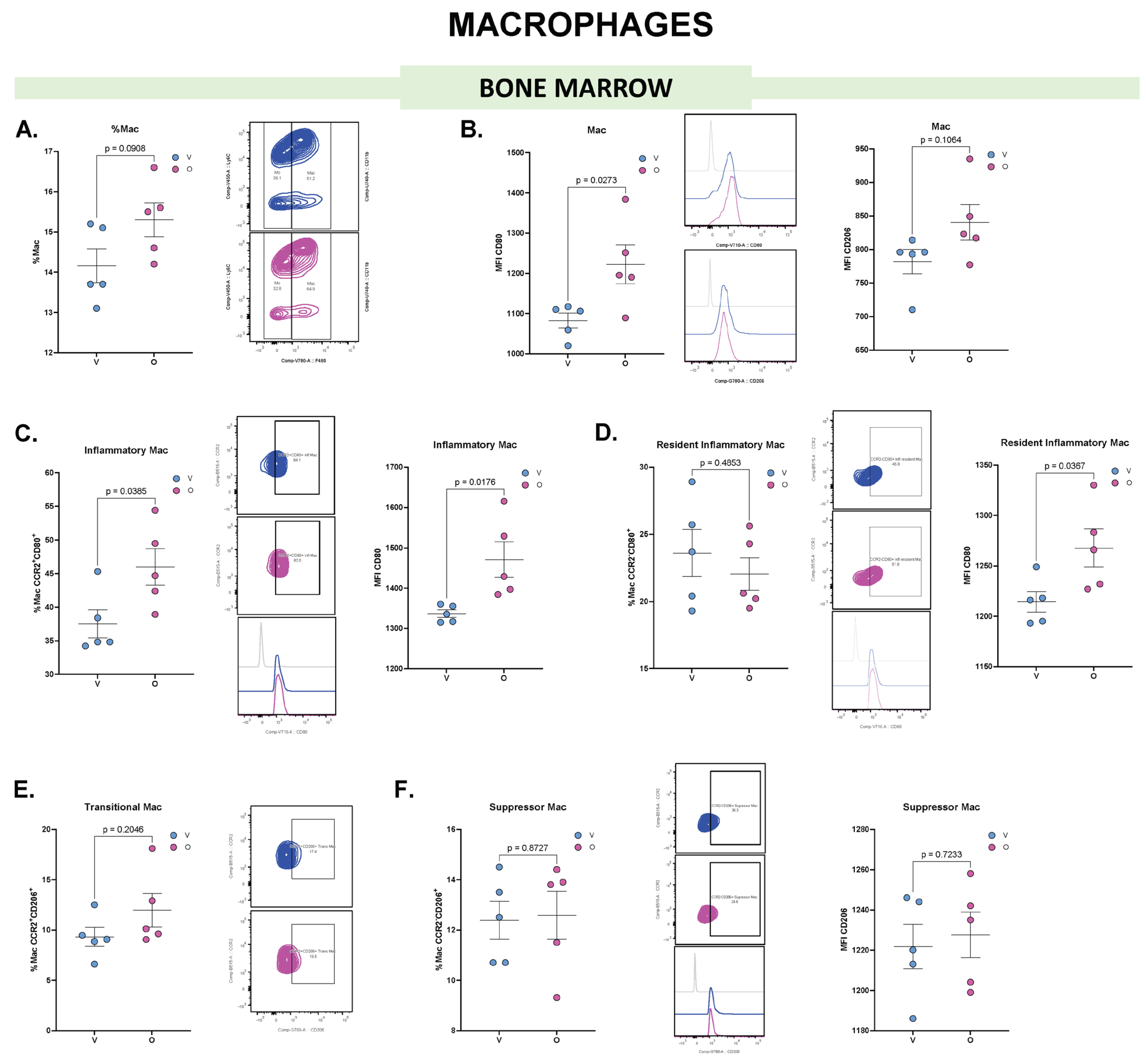 Biomolecules 15 01149 g004