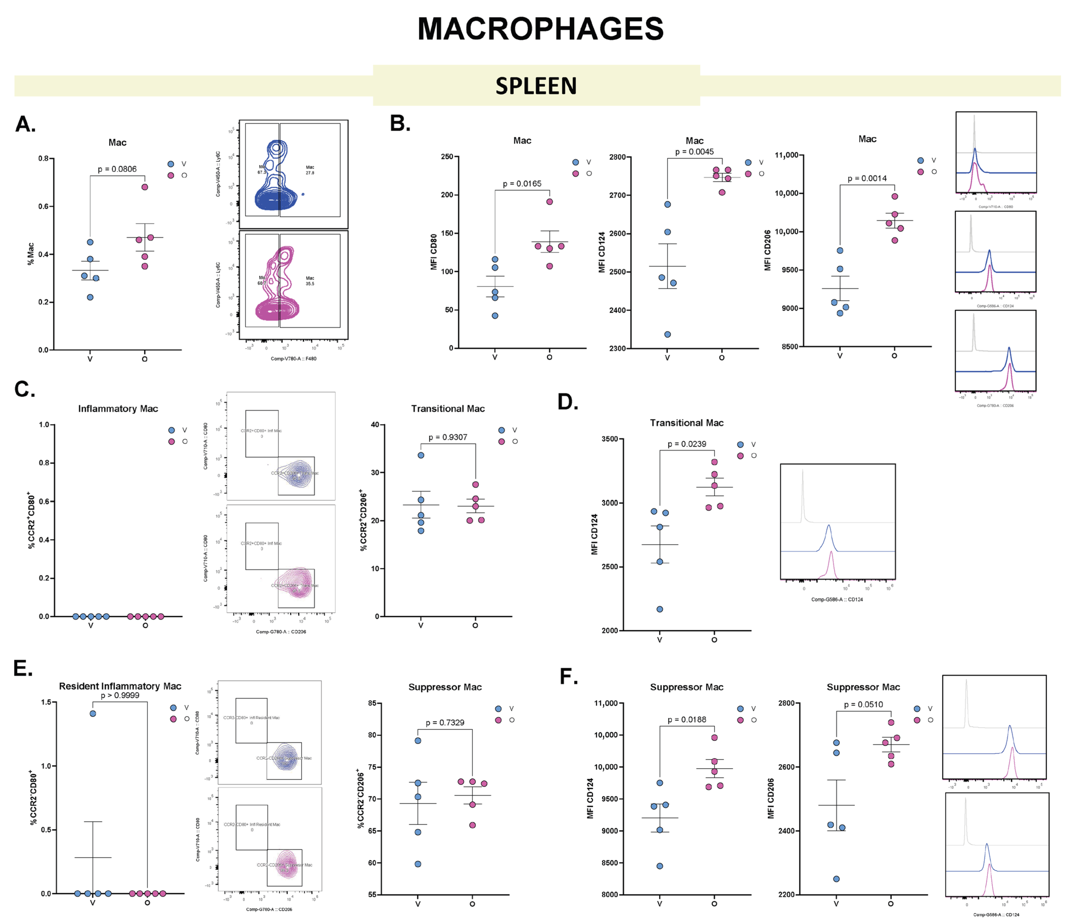 Biomolecules 15 01149 g005