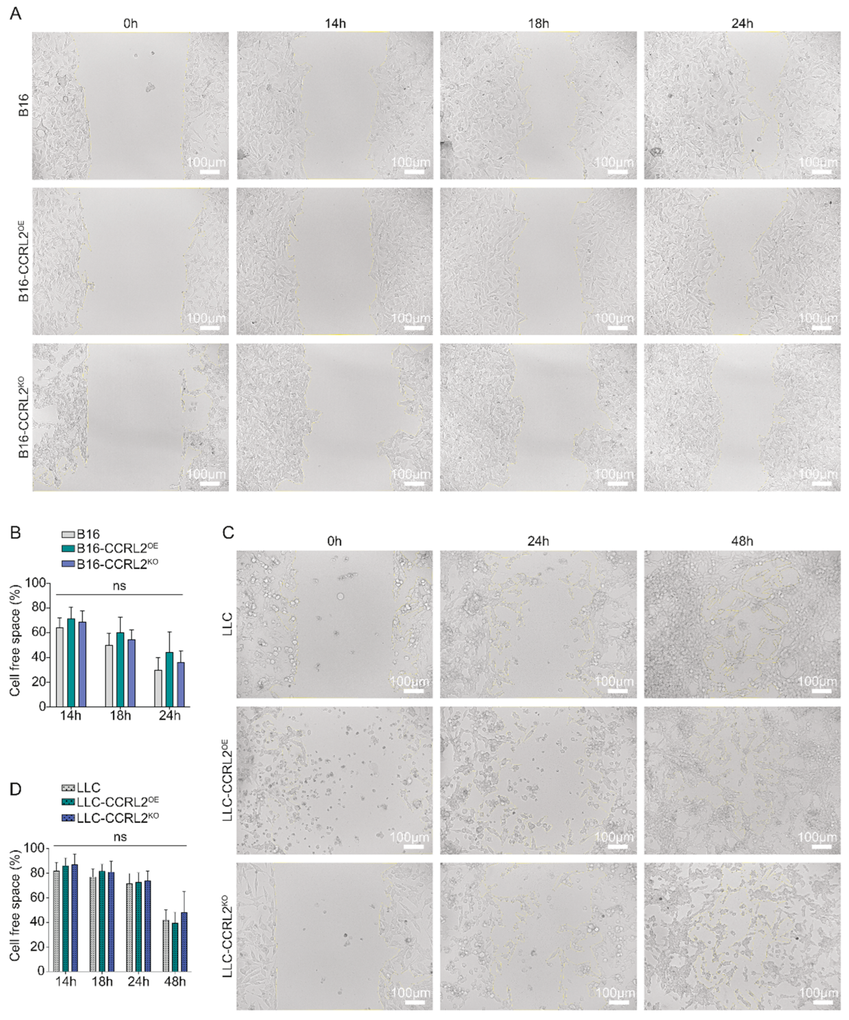 Biomolecules 15 01150 g001 Biomolecules 15 01150 g001