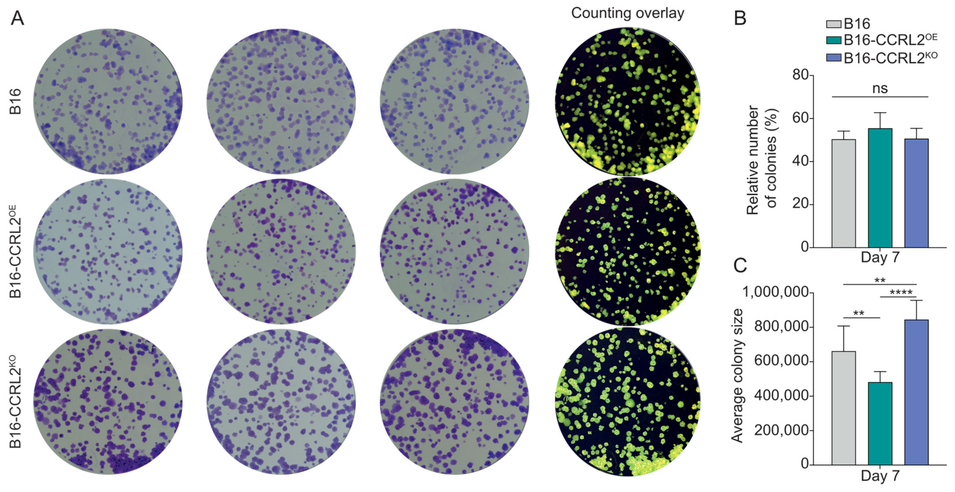 Biomolecules 15 01150 g002 Biomolecules 15 01150 g002