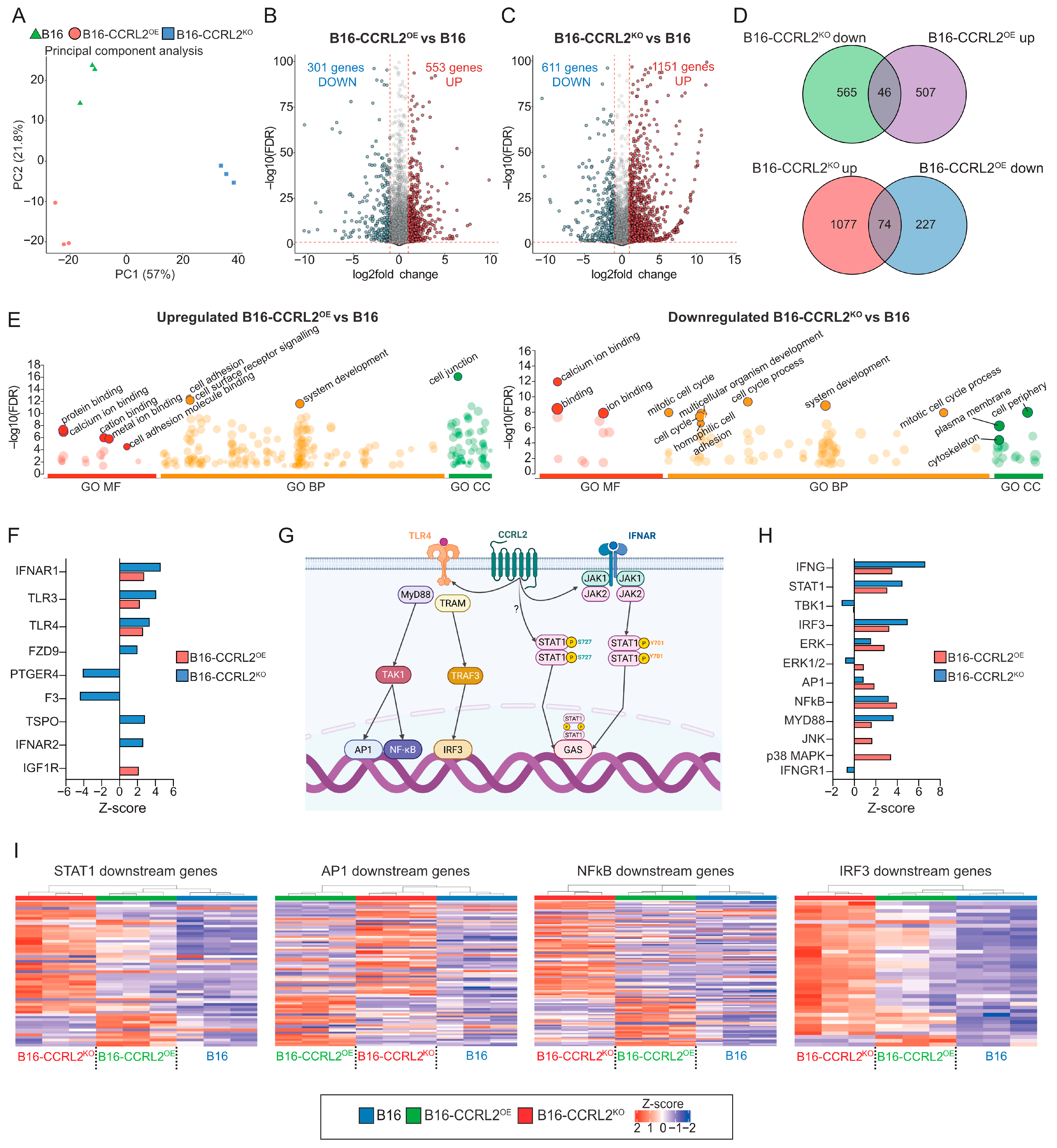 Biomolecules 15 01150 g006 Biomolecules 15 01150 g006