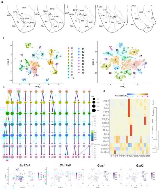 Biomolecules 15 01160 g001