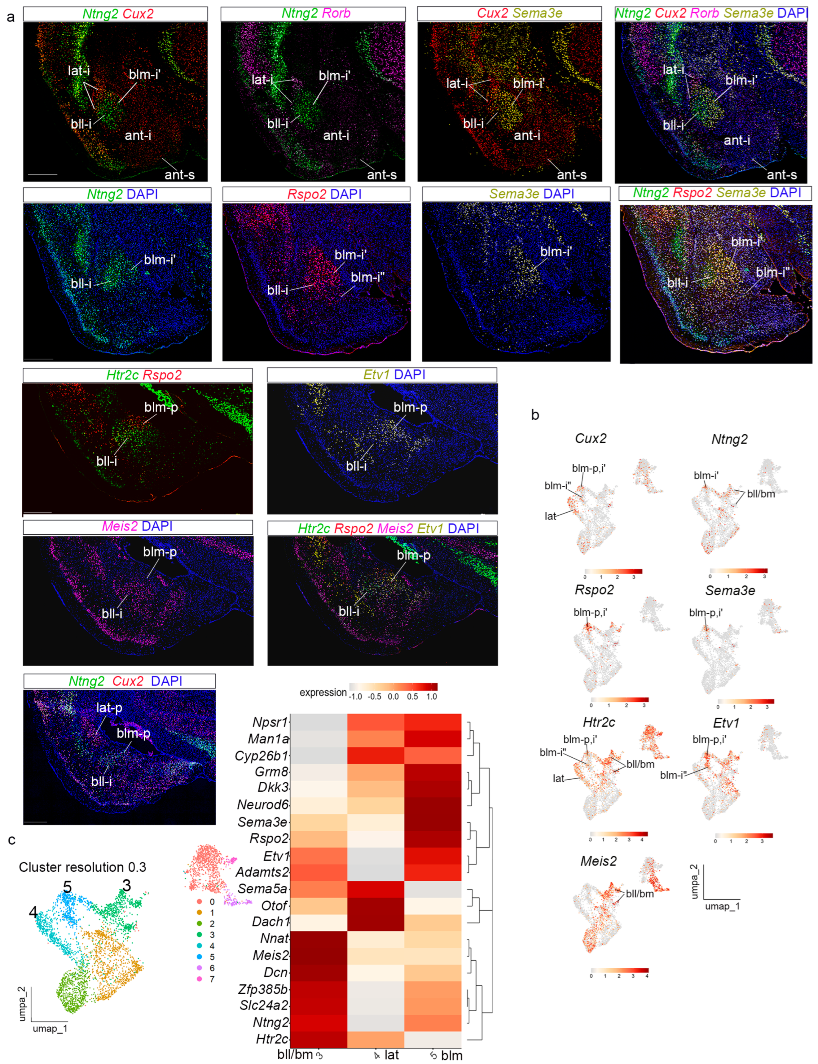 Biomolecules 15 01160 g006