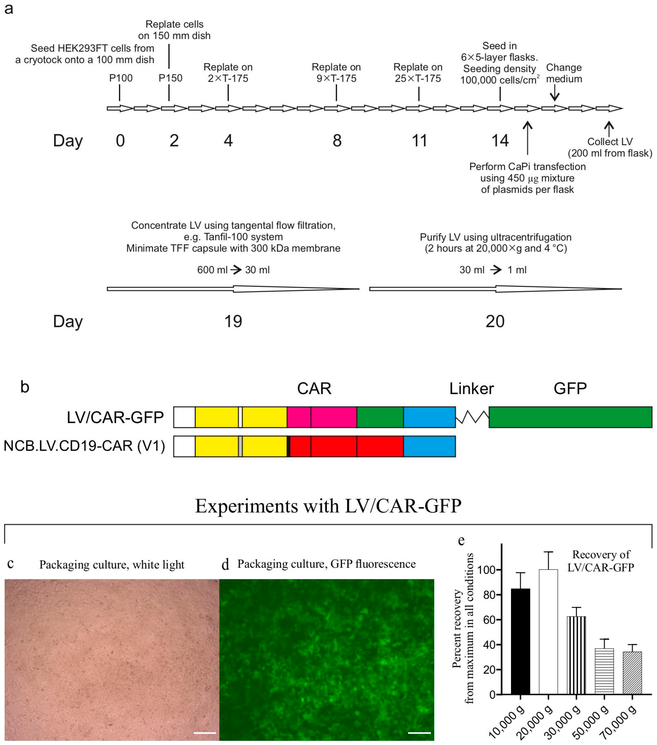 Biomolecules 15 01166 g002 Biomolecules 15 01166 g002