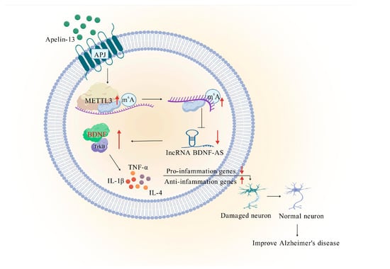 Biomolecules 15 01188 g008