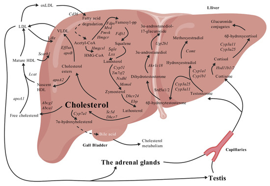 Biomolecules 15 01205 g001