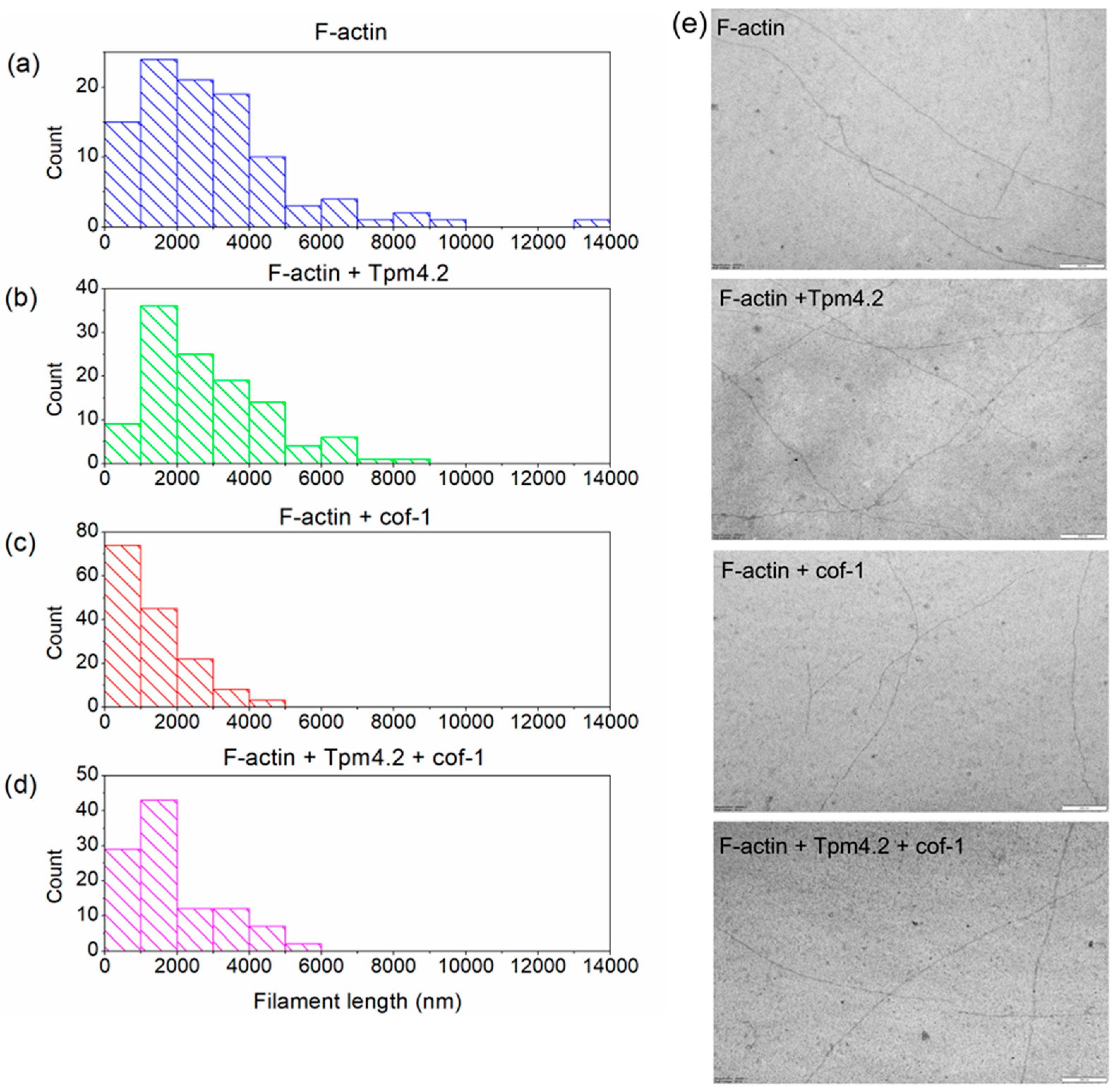 Biomolecules 15 01206 g004