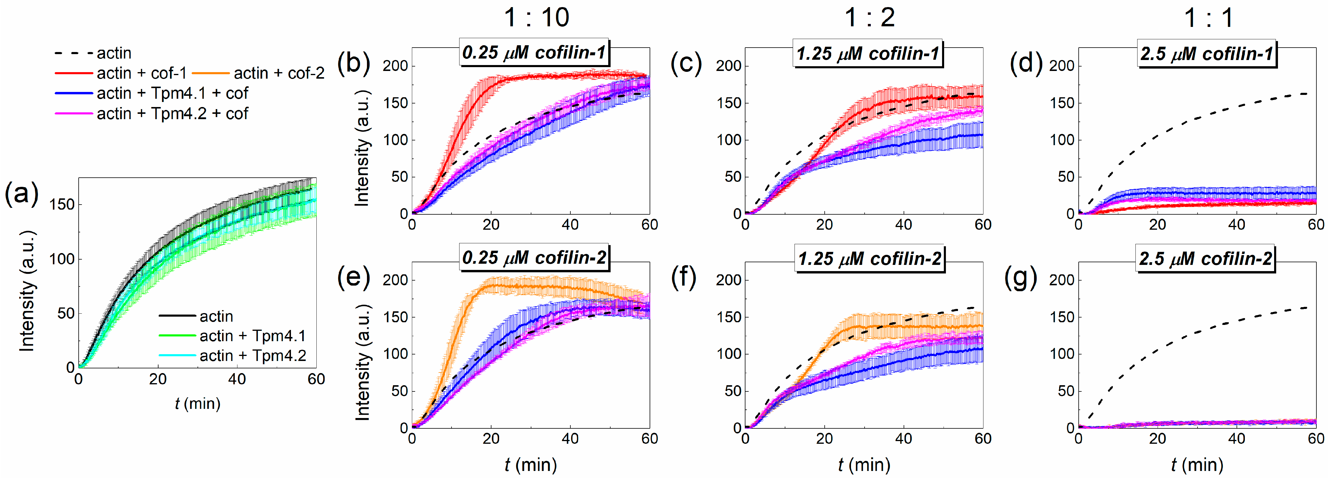 Biomolecules 15 01206 g005