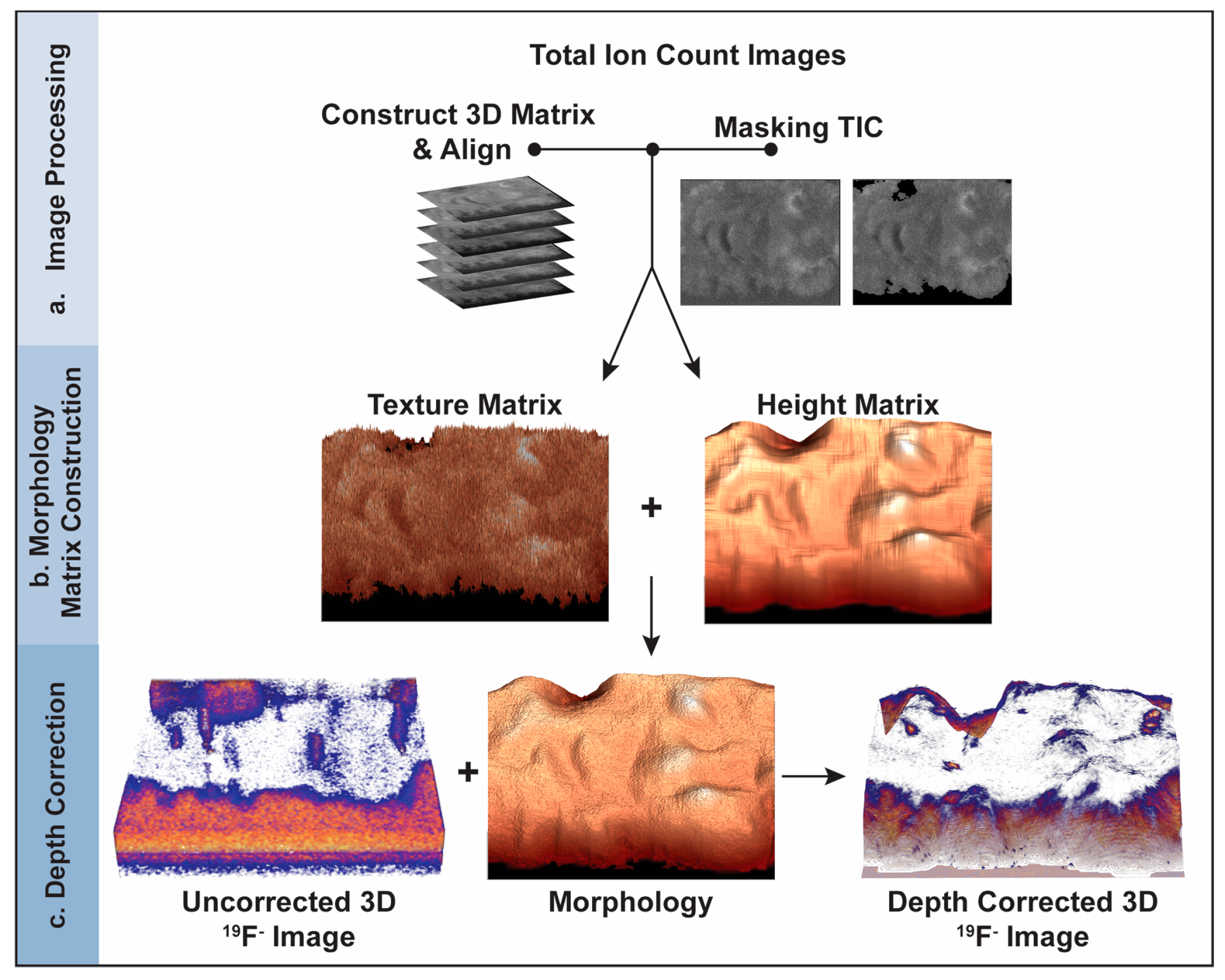Biomolecules 15 01237 g001