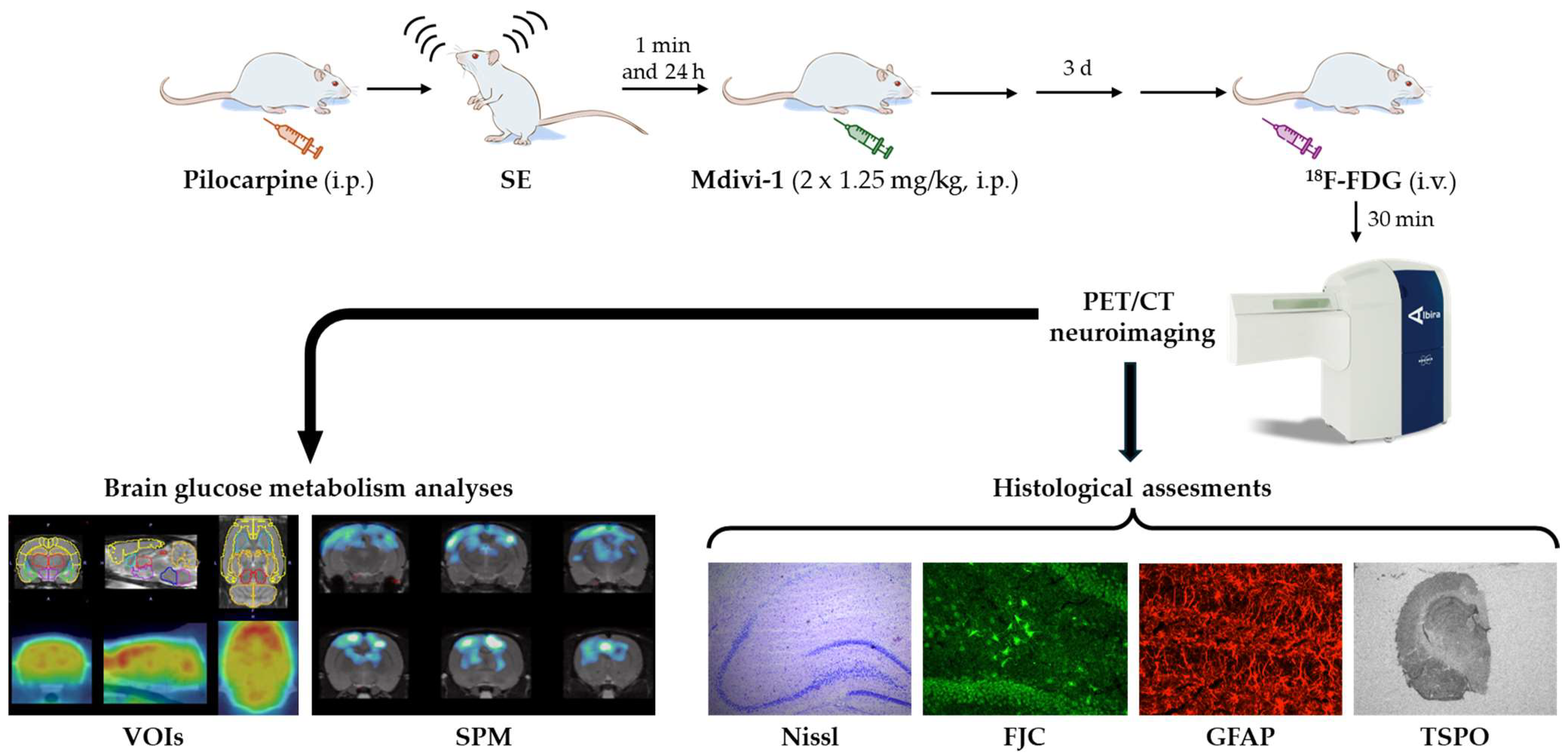 Biomolecules 15 01242 g001